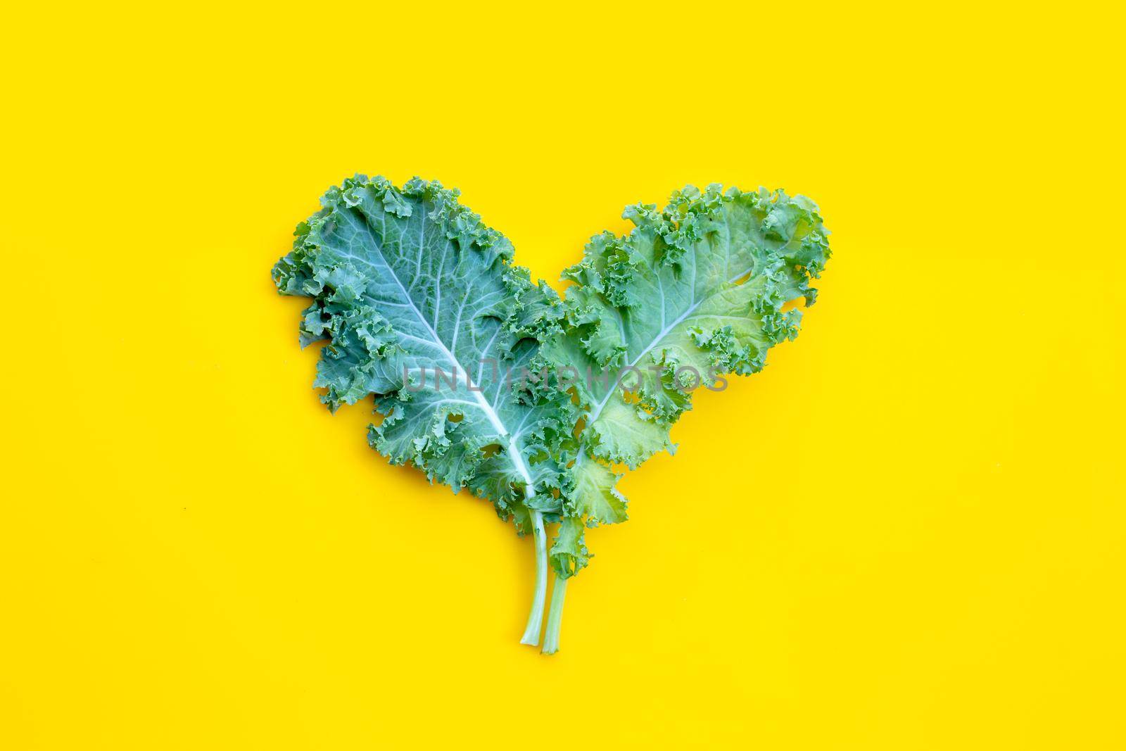 Fresh kale leaves salad vegetable on yellow background.