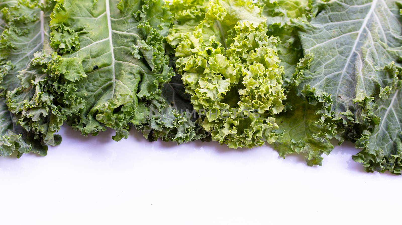 Fresh kale leaves salad vegetable on white background.