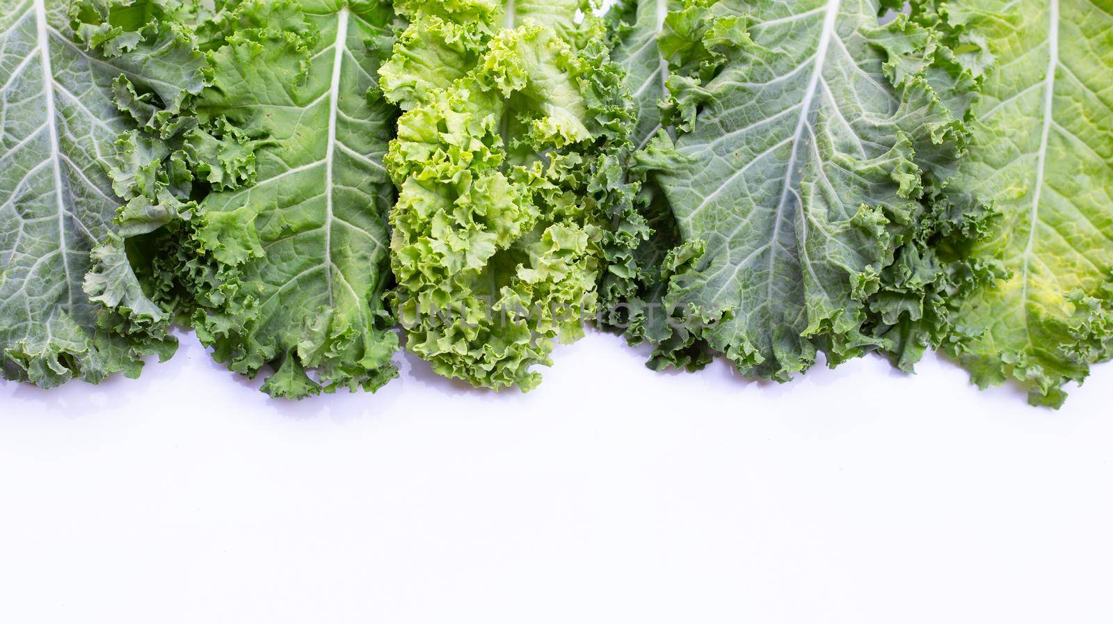 Fresh kale leaves salad vegetable on white background.