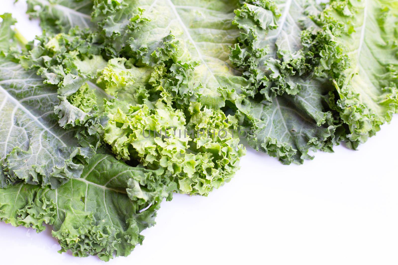 Fresh kale leaves salad vegetable on white background.