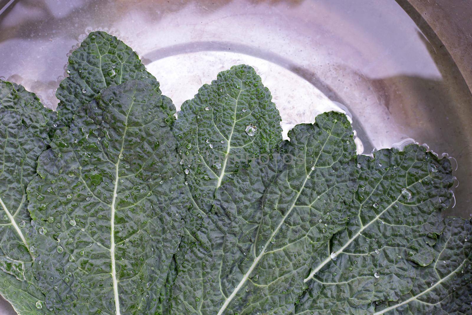 Fresh kale leaves soaked in a white bowl of water. Washing vegetables concept