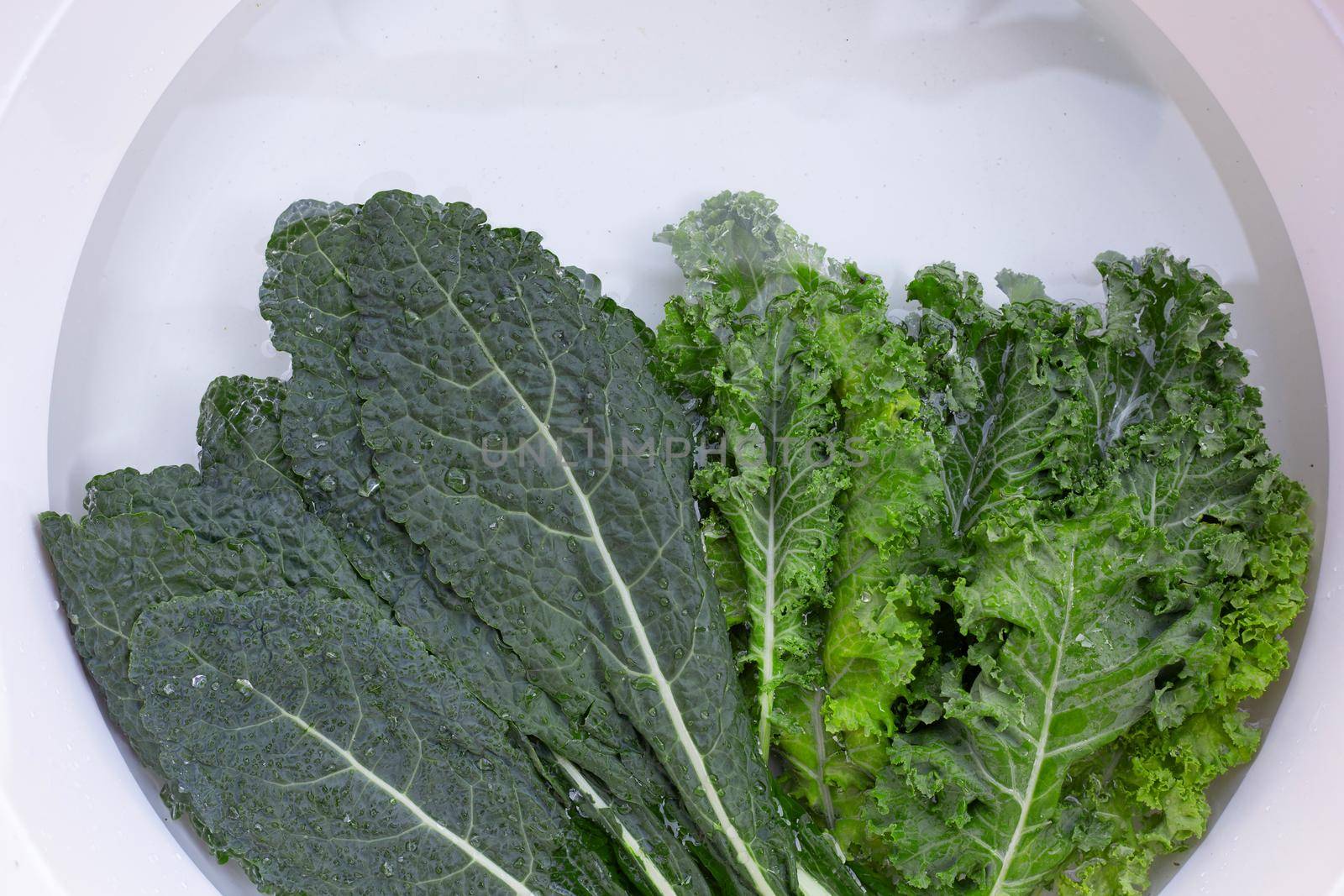 Fresh kale leaves soaked in a white bowl of water. Washing vegetables  concept