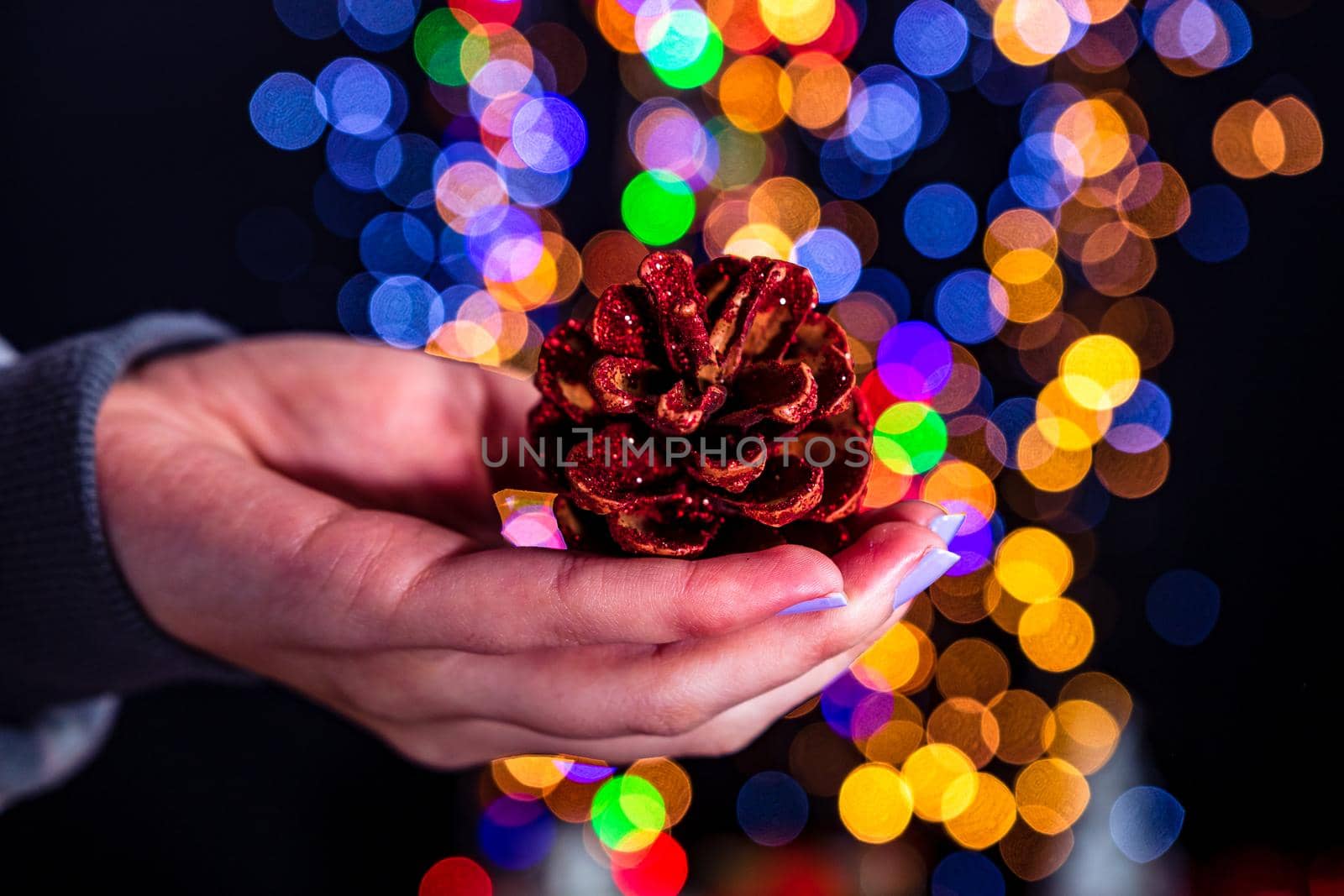 Holding Christmas pine cone decoration isolated on background with blurred lights. December season, Christmas composition.