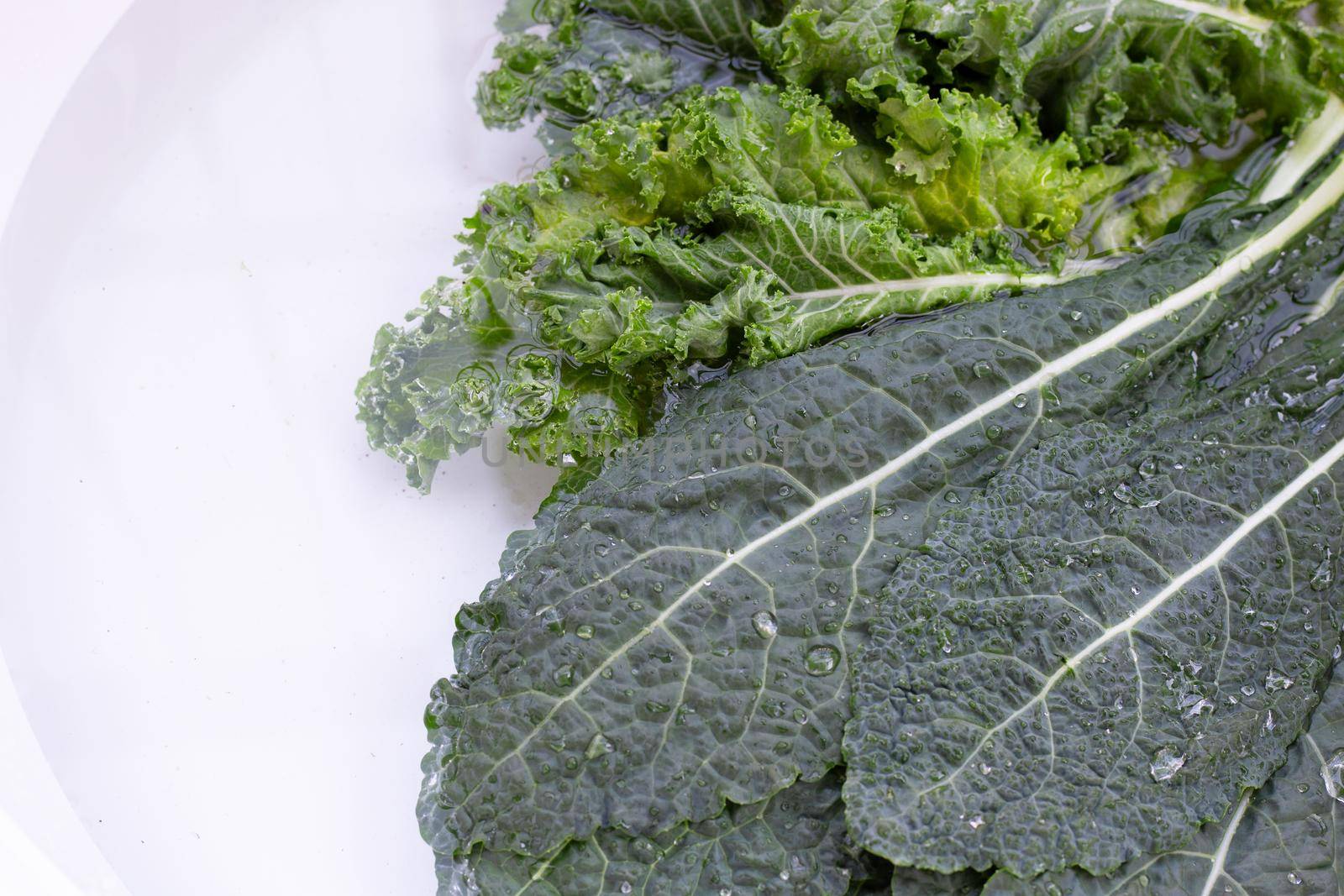 Fresh kale leaves soaked in a white bowl of water. Washing vegetables concept