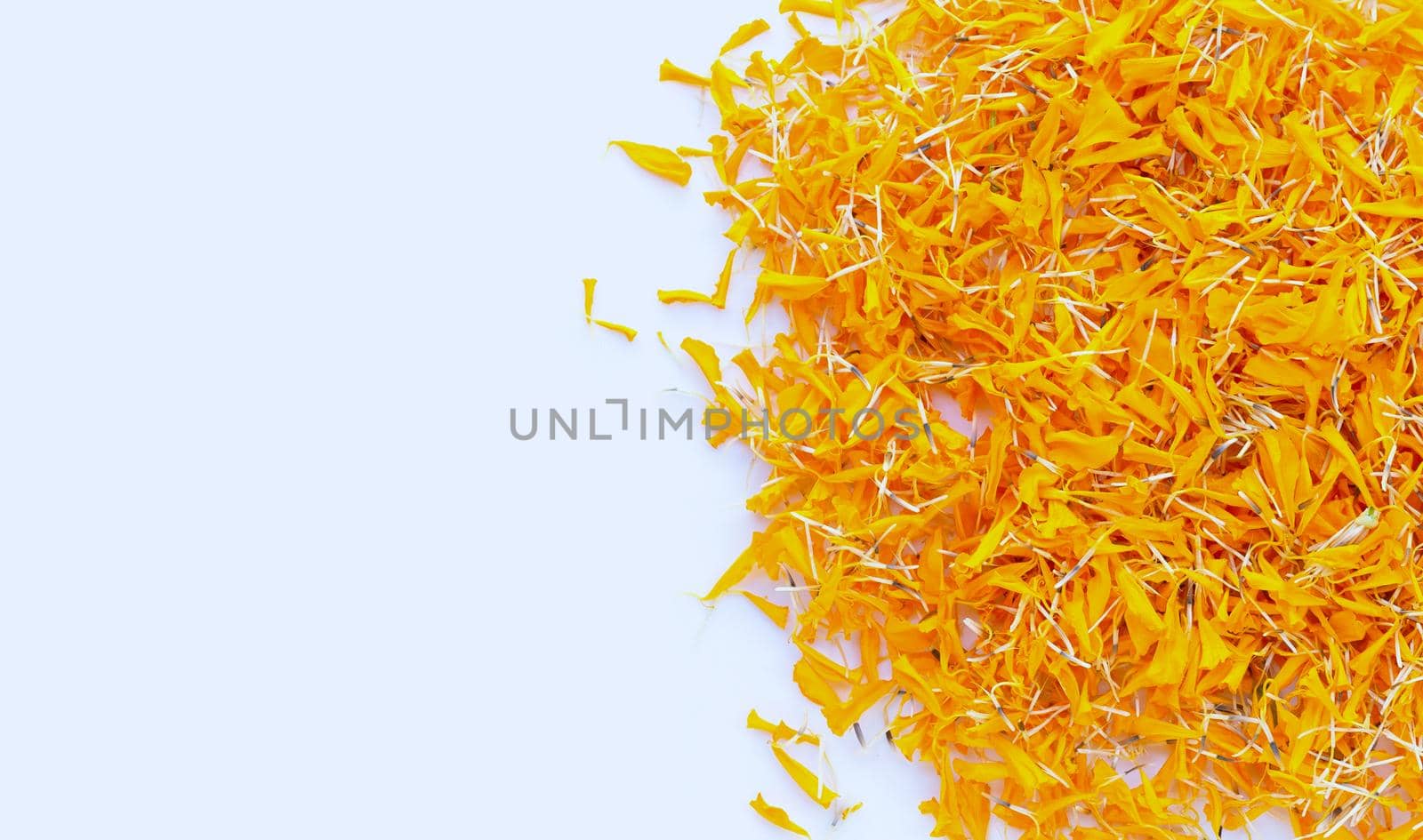 Marigold flower petals on white background.