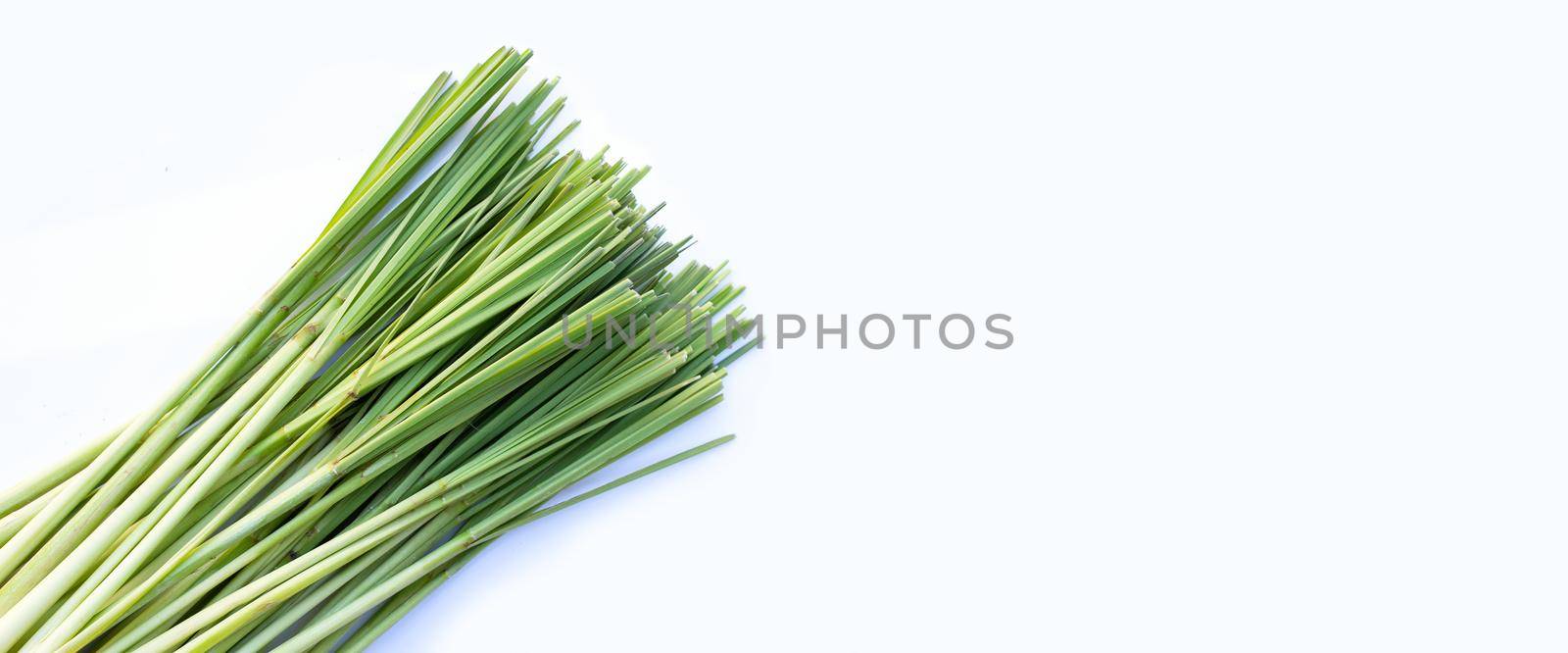 Fresh lemongrass on white background.