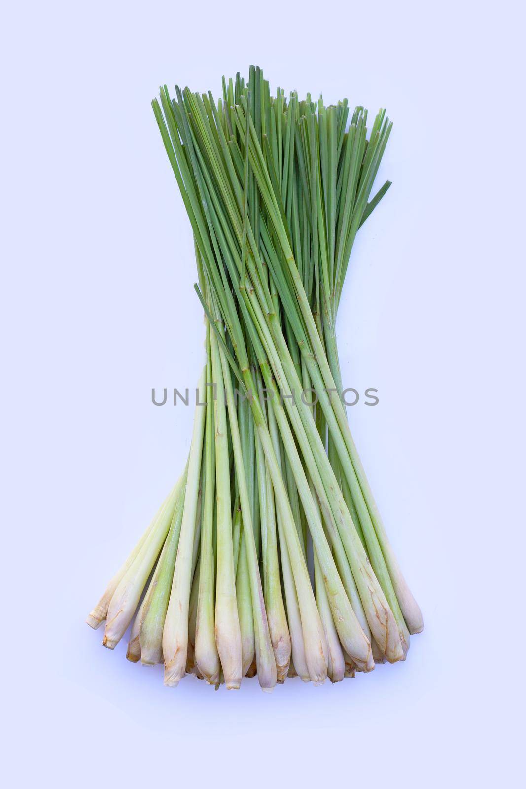 Fresh lemongrass on white background.