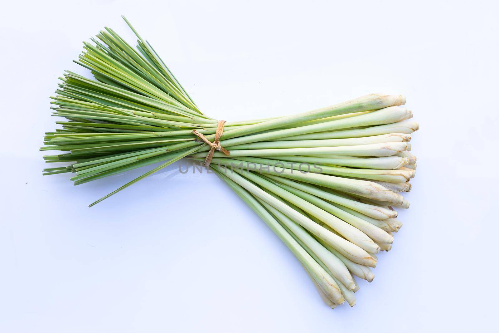 Fresh lemongrass on white background.