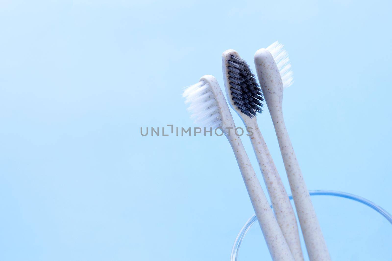 Toothbrushes in a glass on white. Copy space