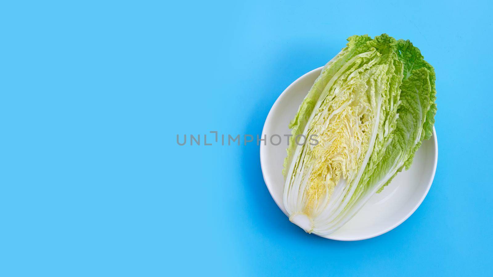 Chinese cabbage on blue background.