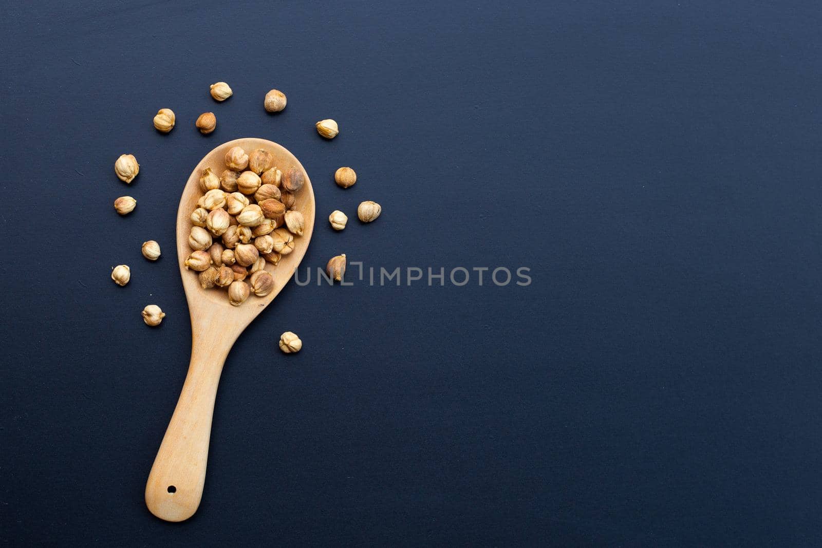 Siam Cardamom or Kapulaga on dark background.