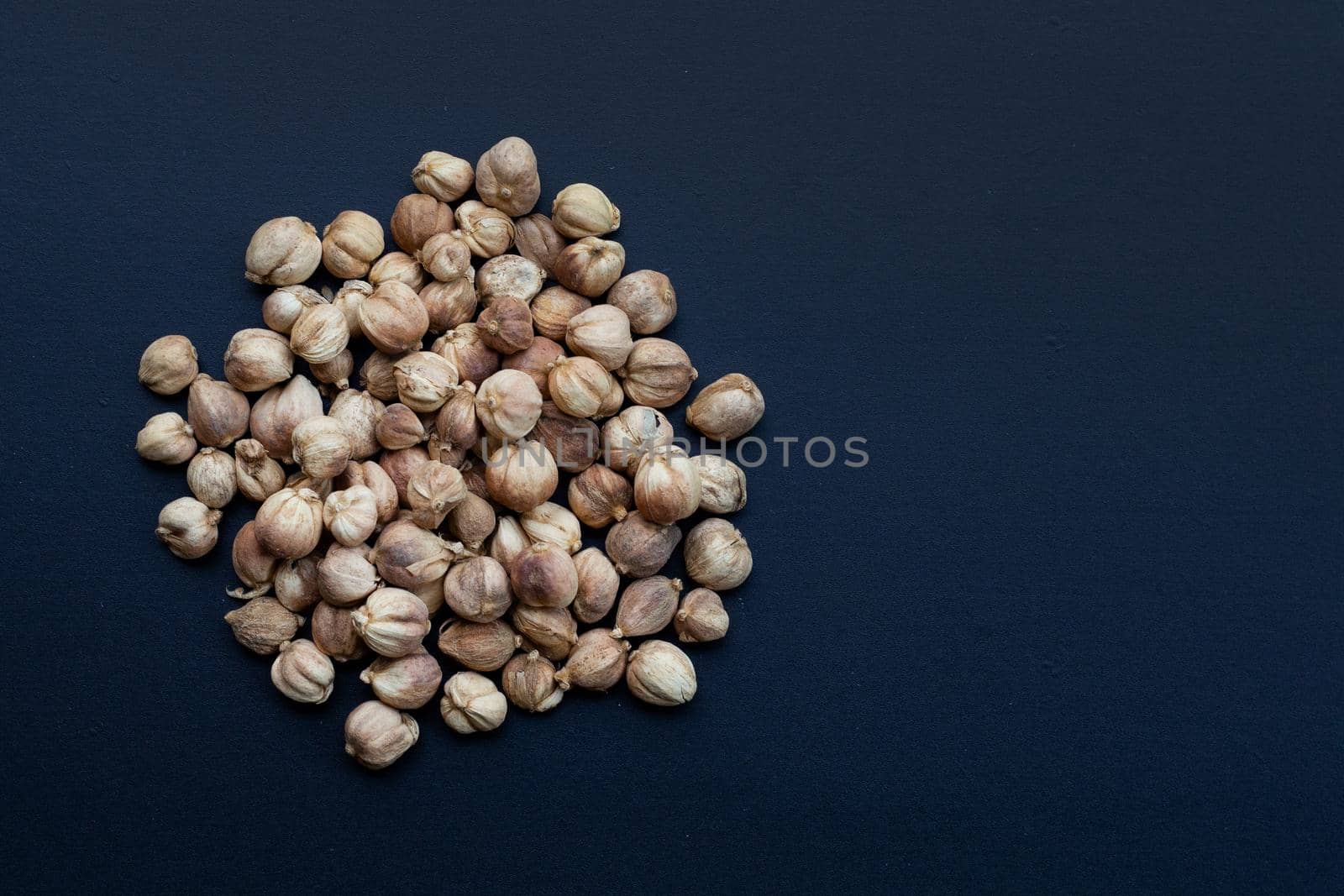 Siam Cardamom or Kapulaga on dark background.
