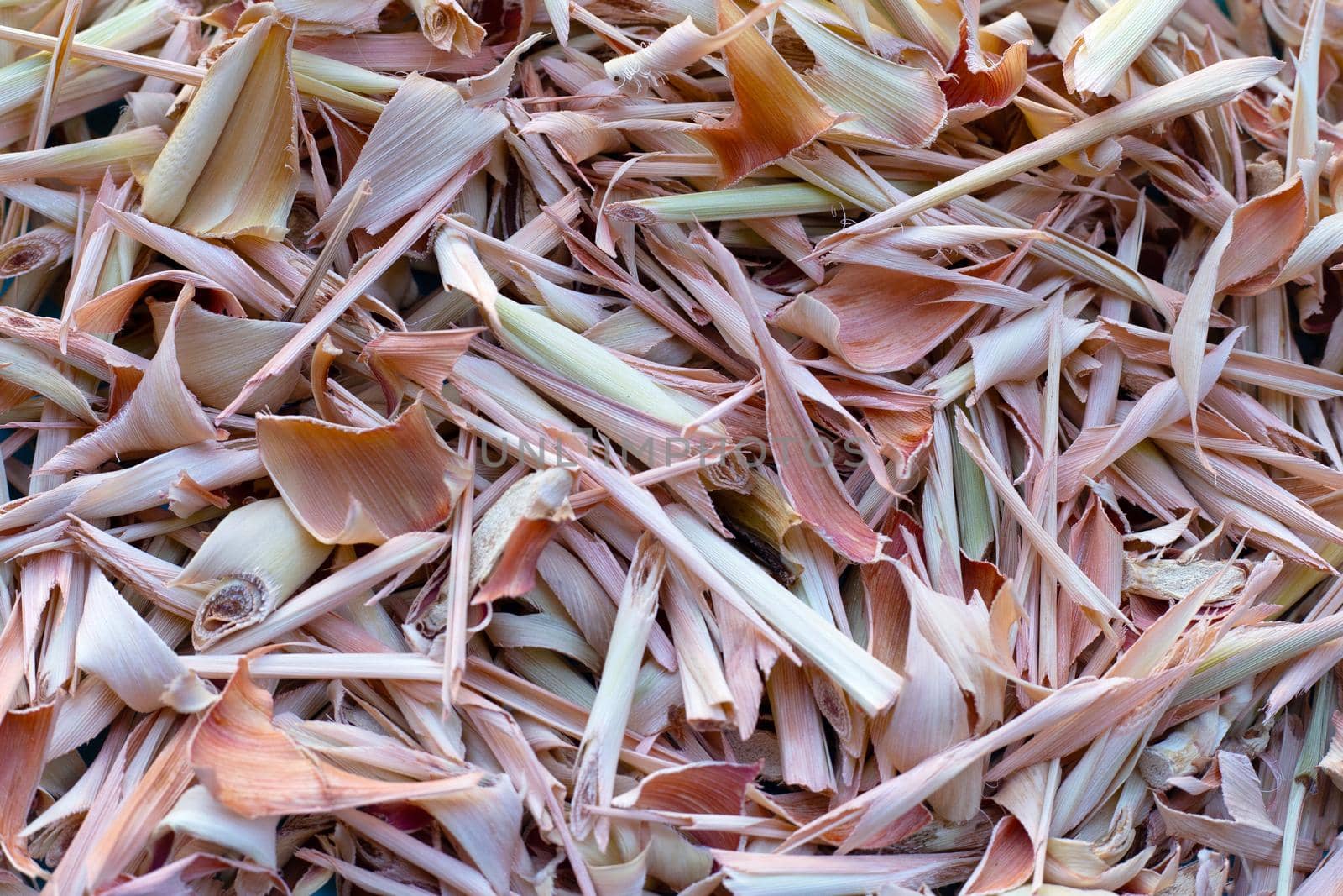 Organic dried lemongrass. Close up