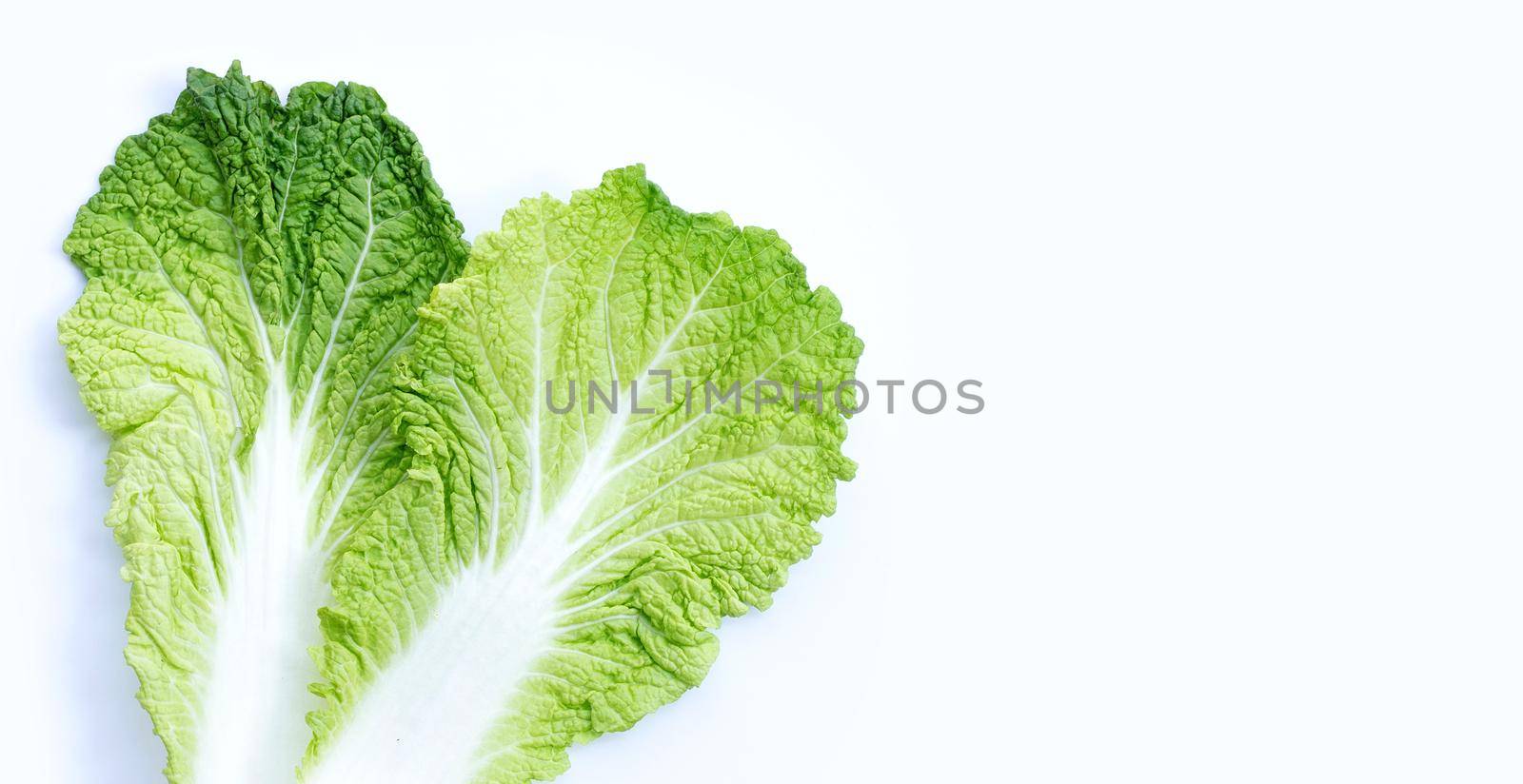 Chinese cabbage on white background. Copy space by Bowonpat