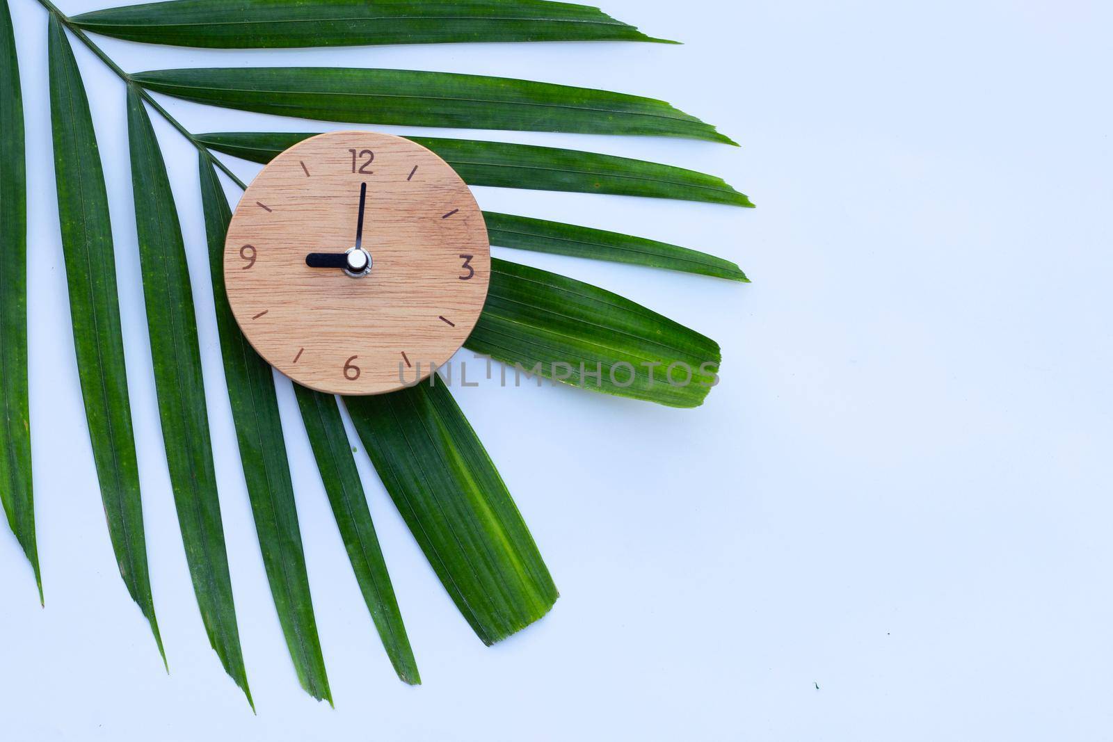 Wooden clock on green leaves on white background. Copy space