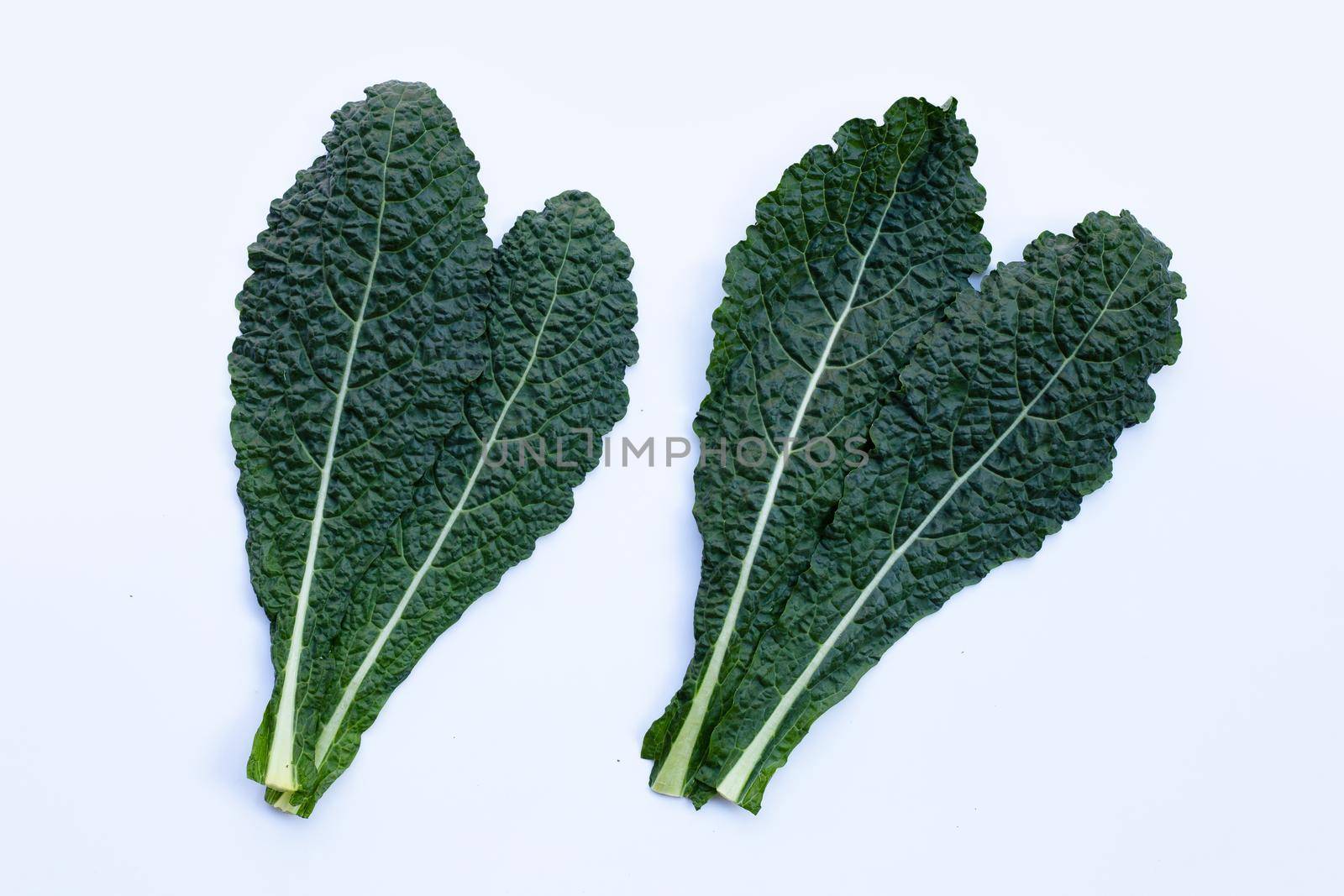 Fresh organic green kale leaves on white background.