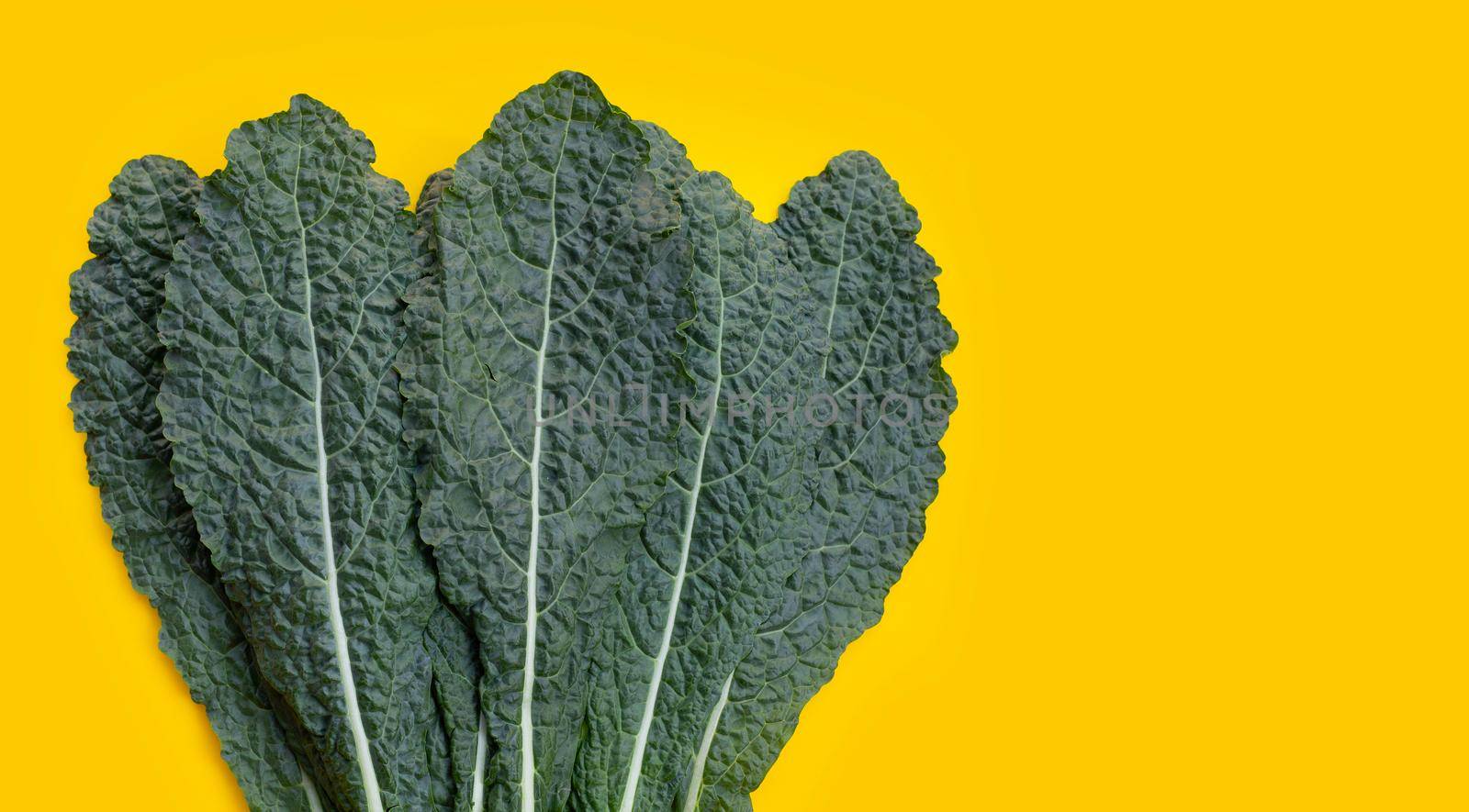 Fresh organic green kale leaves on yellow background. by Bowonpat