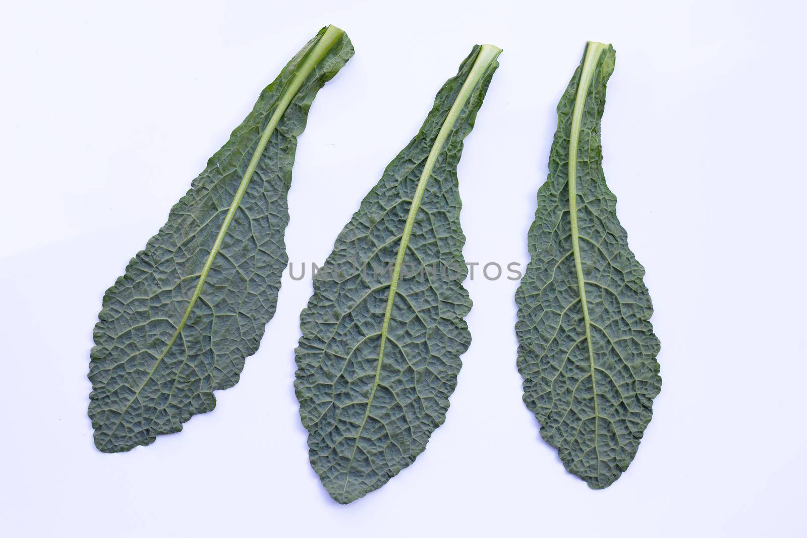 Fresh organic green kale leaves on white background.