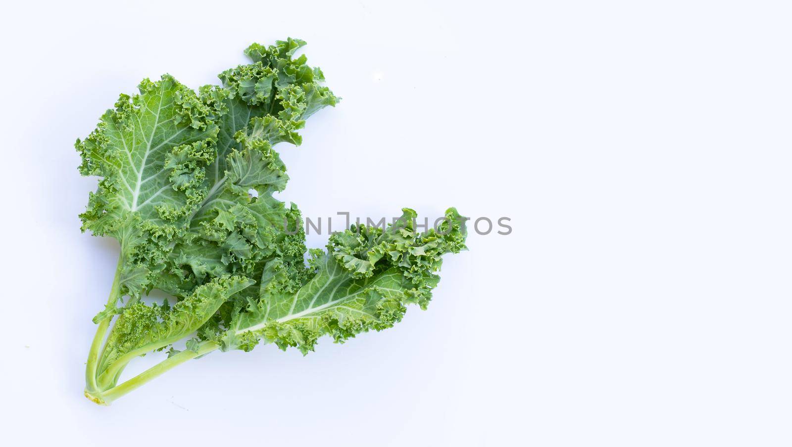 Fresh kale leaves salad vegetable on white background.