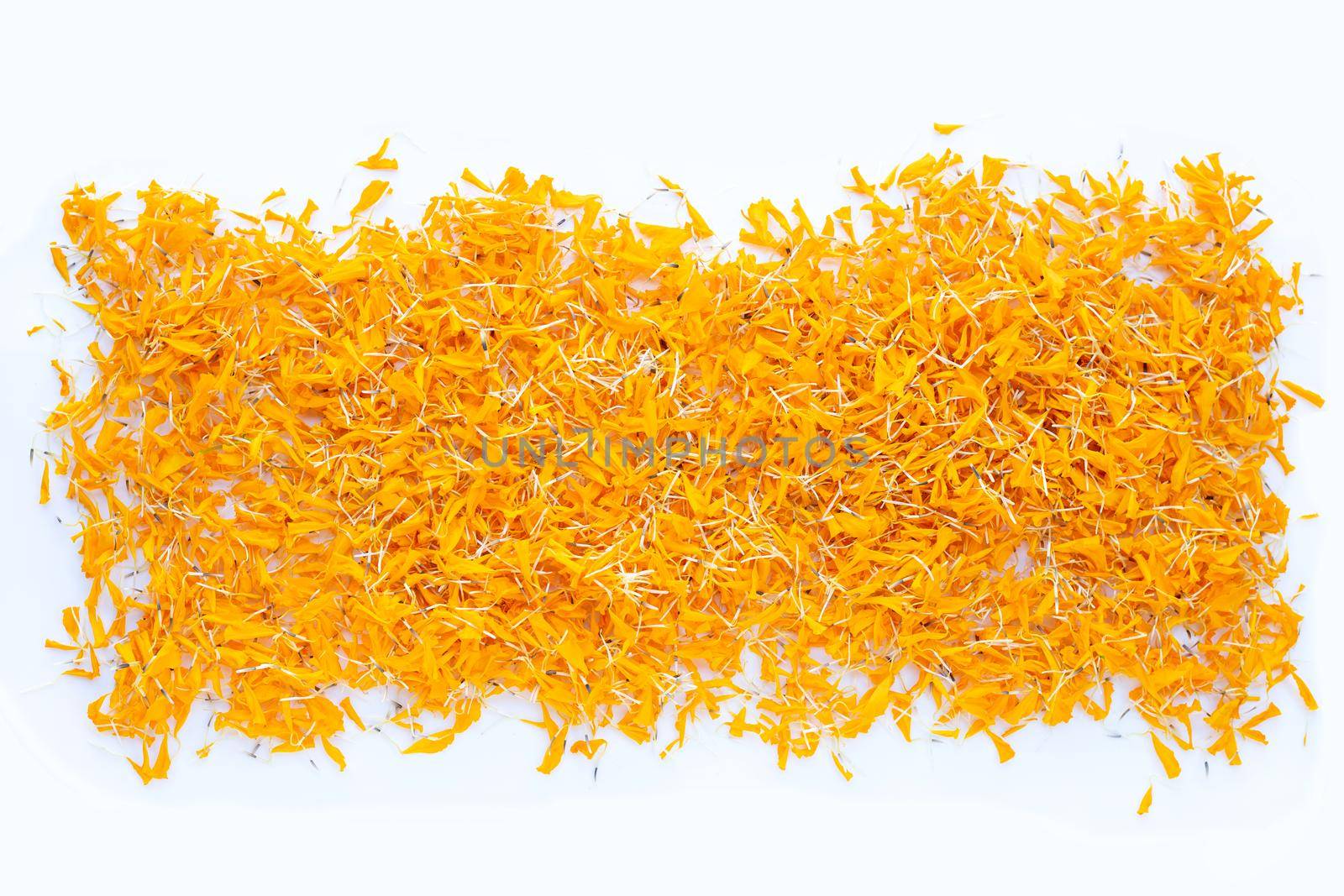 Petals of marigold flower on white background.