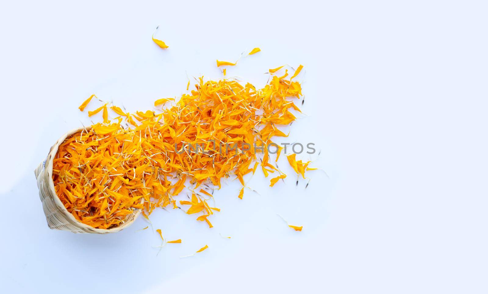 Marigold flower petals on white background.