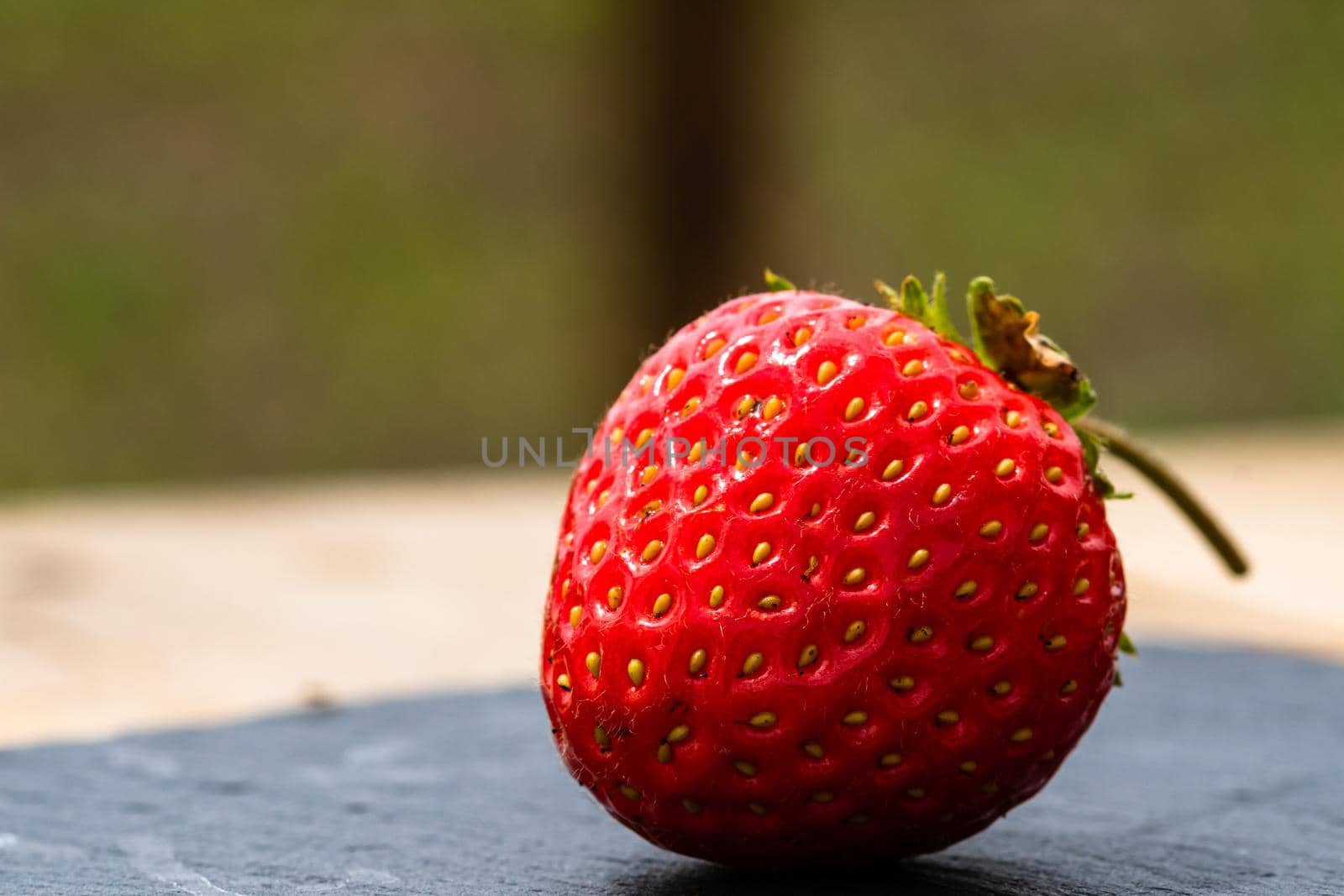 Close up of fresh strawberry showing seeds achenes. Details of a fresh ripe red strawberry.