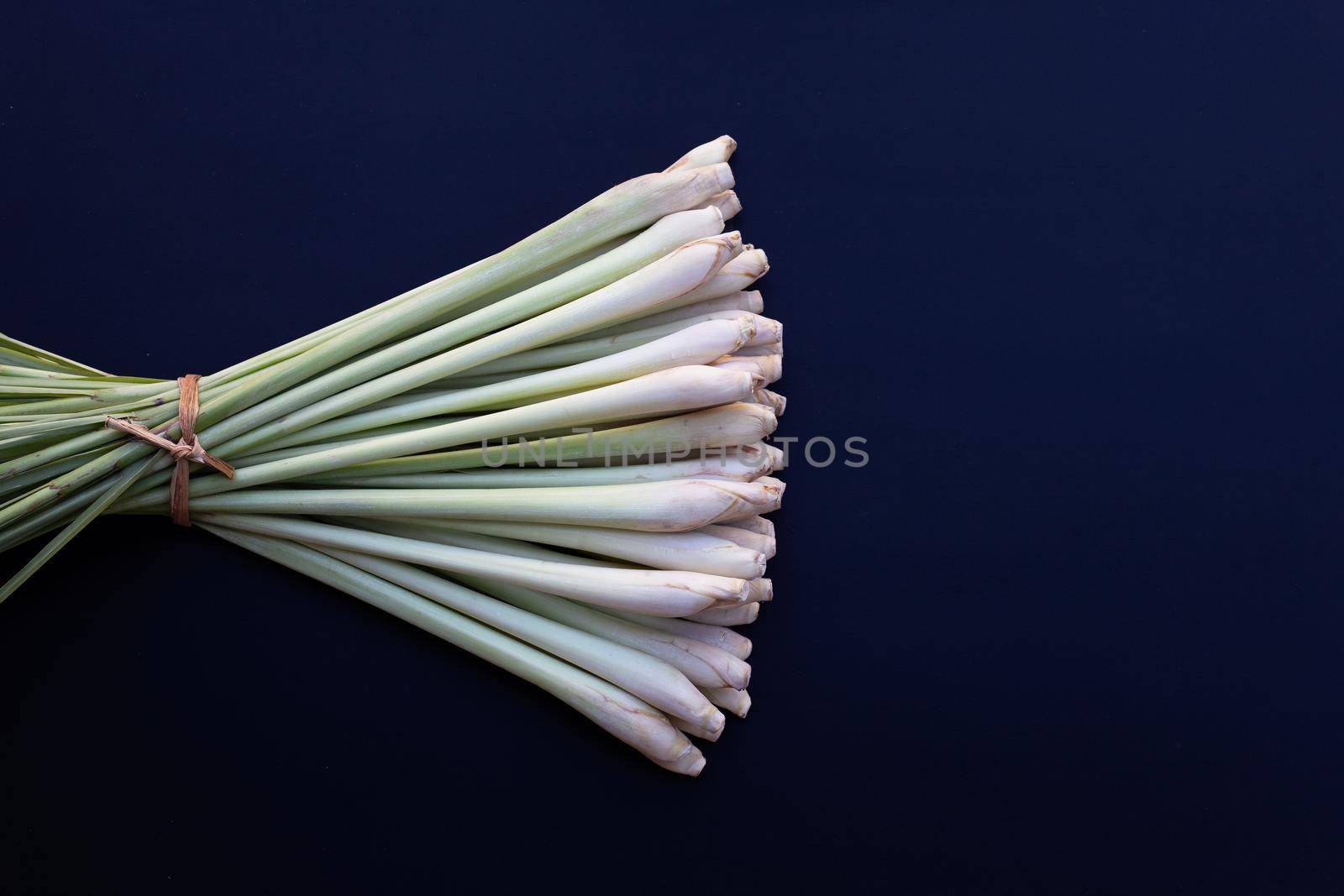 Fresh lemongrass on dark background.