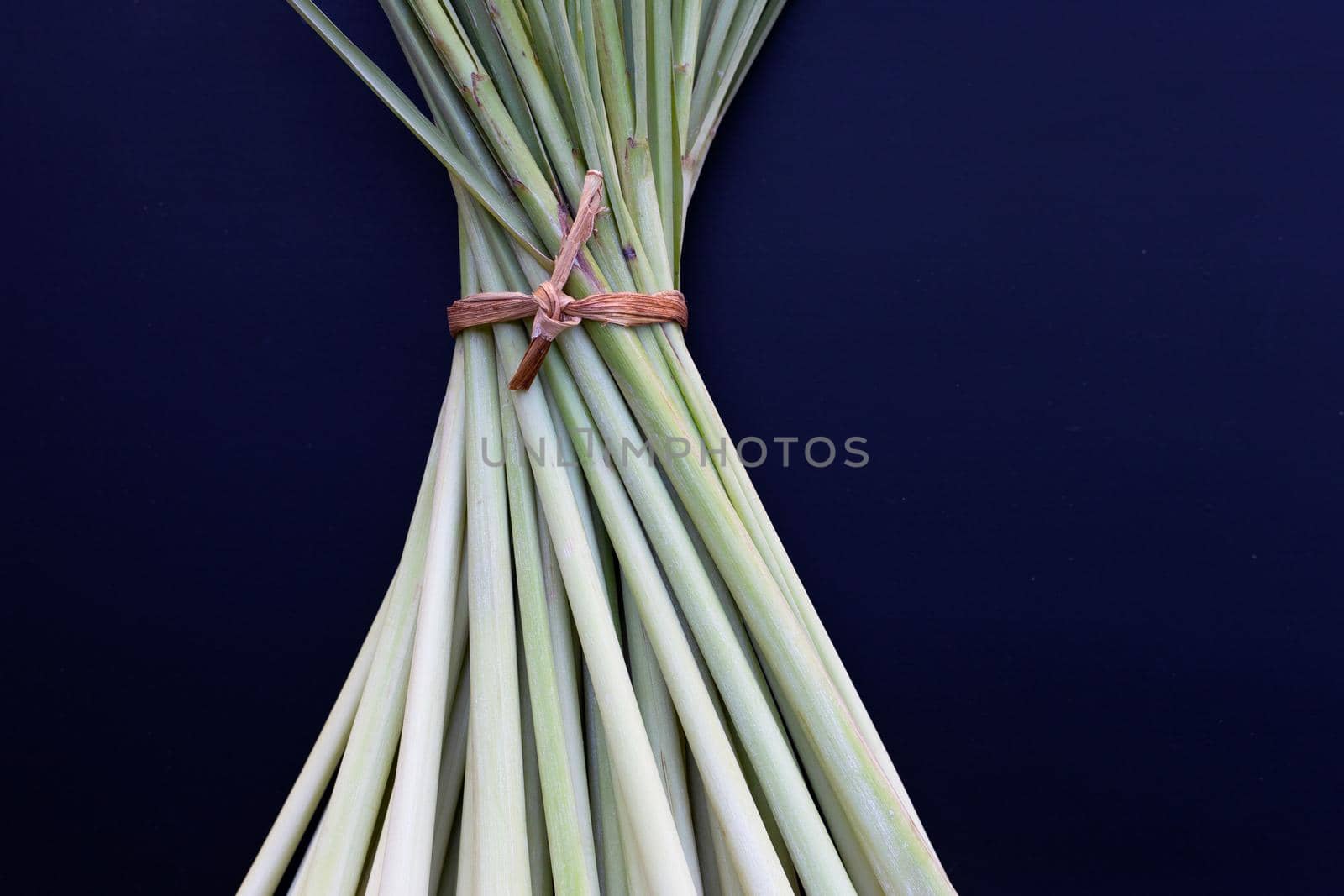 Fresh lemongrass on dark background.