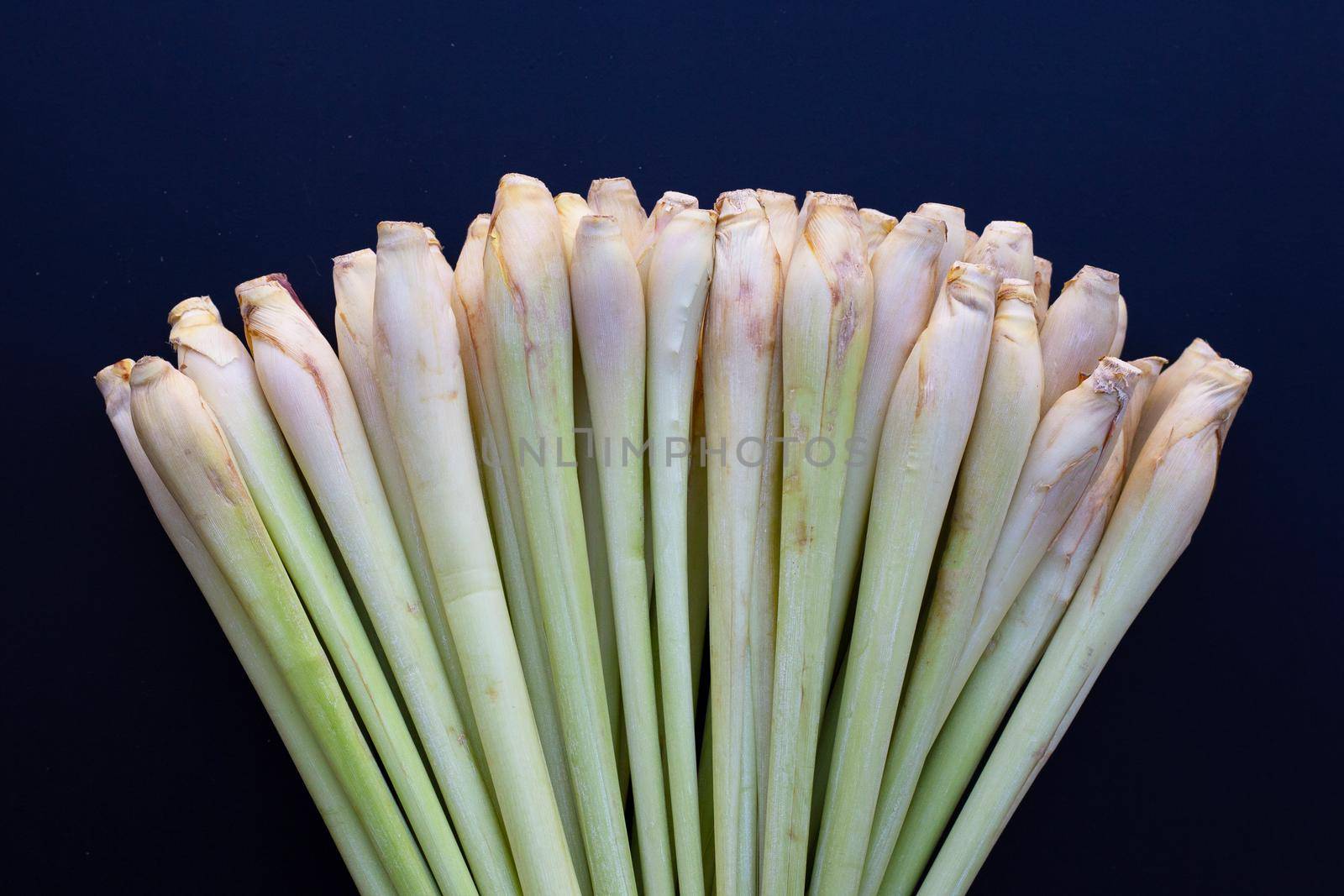 Fresh lemongrass on white background.