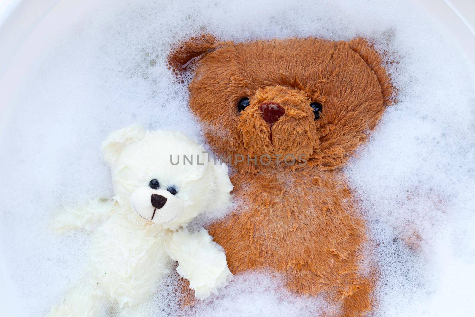 Soak toy bears in laundry detergent water dissolution before washing.  Laundry concept, Top view