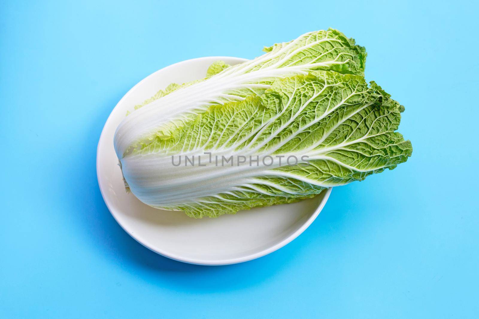 Chinese cabbage on blue background.