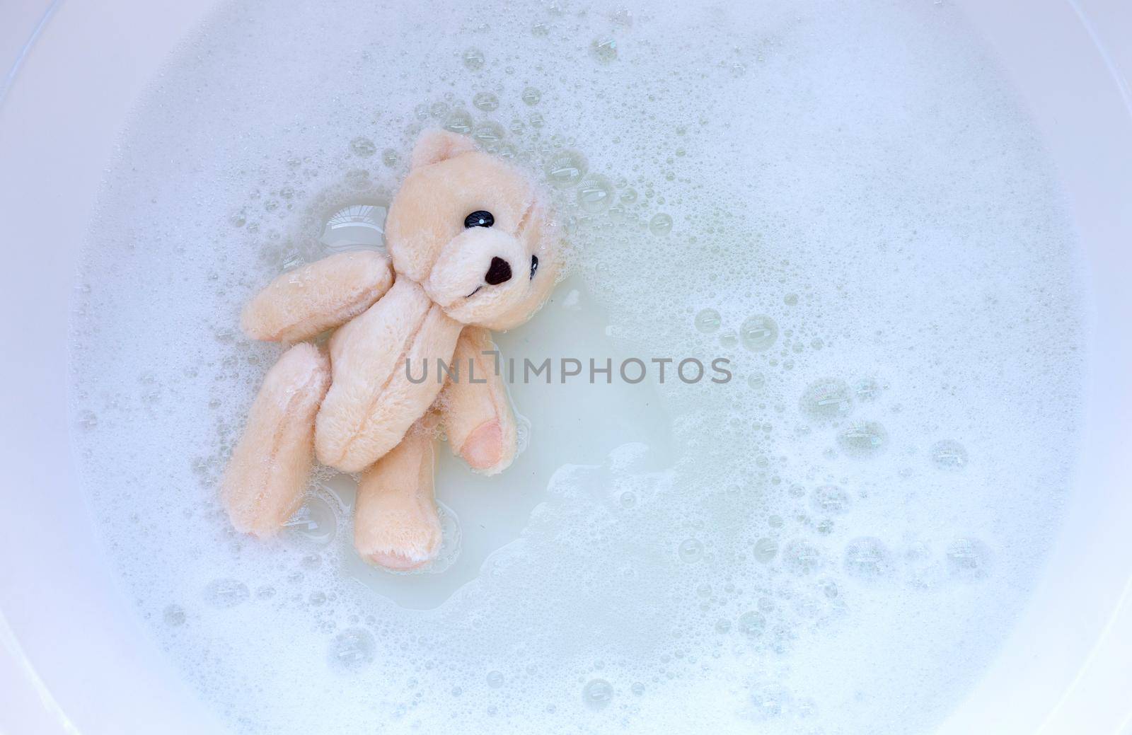 Soak toy bear in laundry detergent water dissolution before washing.  Laundry concept, Top view by Bowonpat