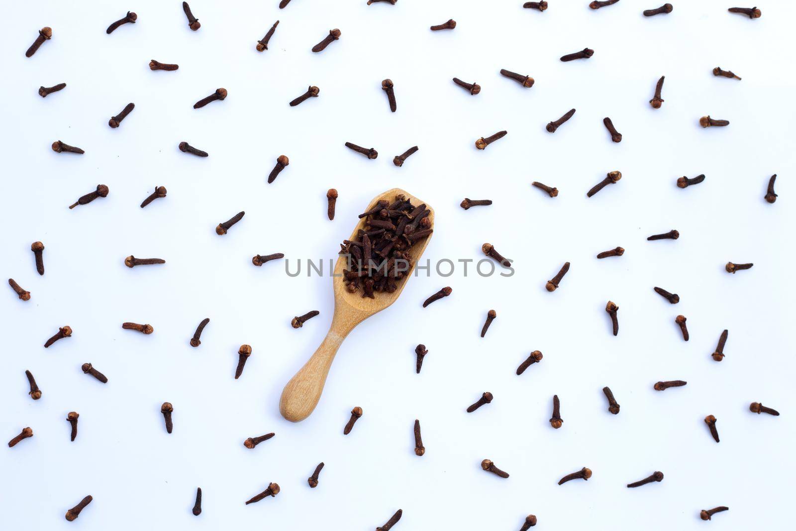 Spice dried cloves on white background.