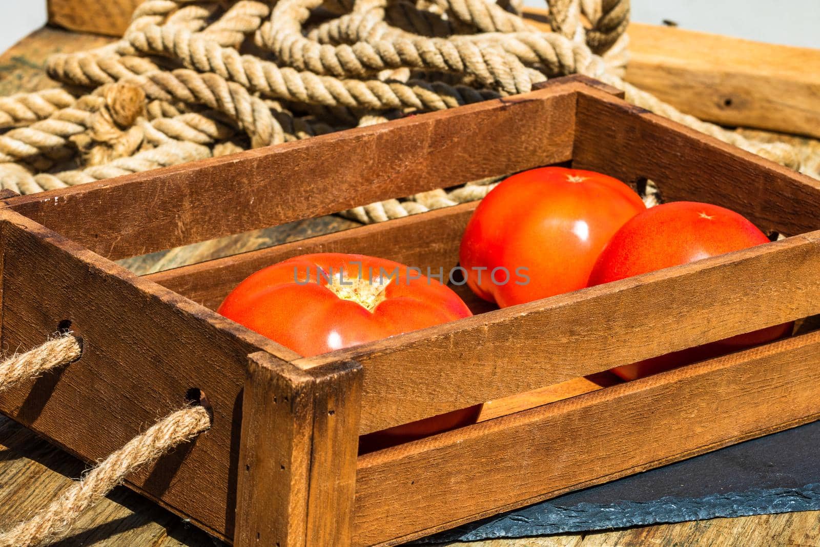 Wooden crate with fresh ripe tomatoes isolated in a rustic composition,