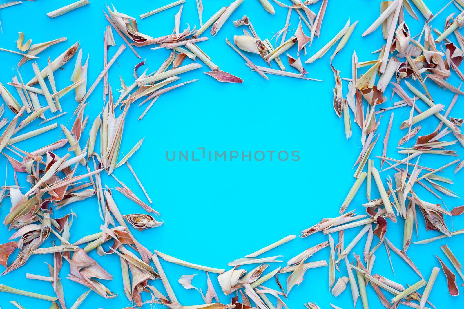 Organic dried lemongrass on blue background.