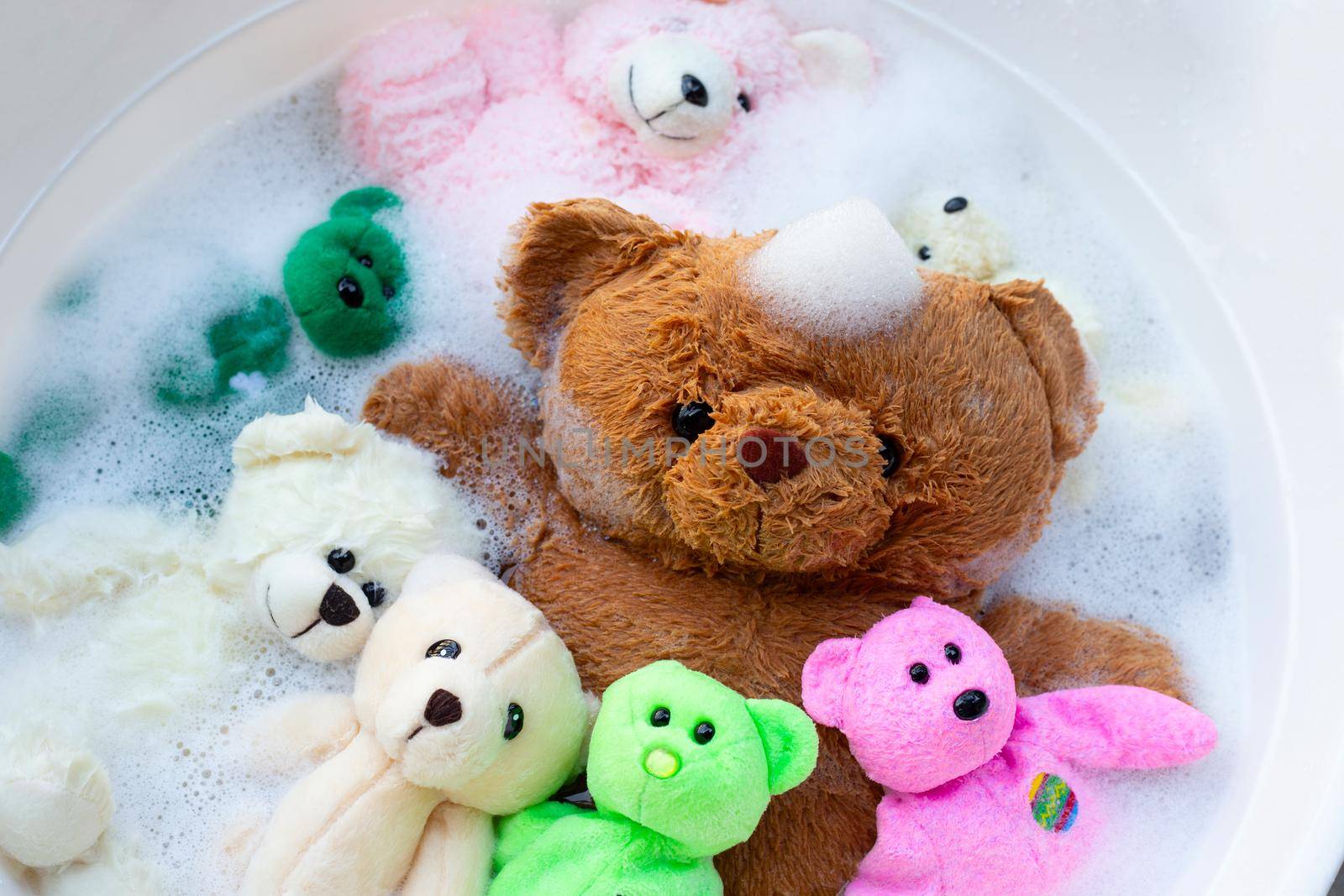 Soak toy bears in laundry detergent water dissolution before washing.  Laundry concept, Top view by Bowonpat