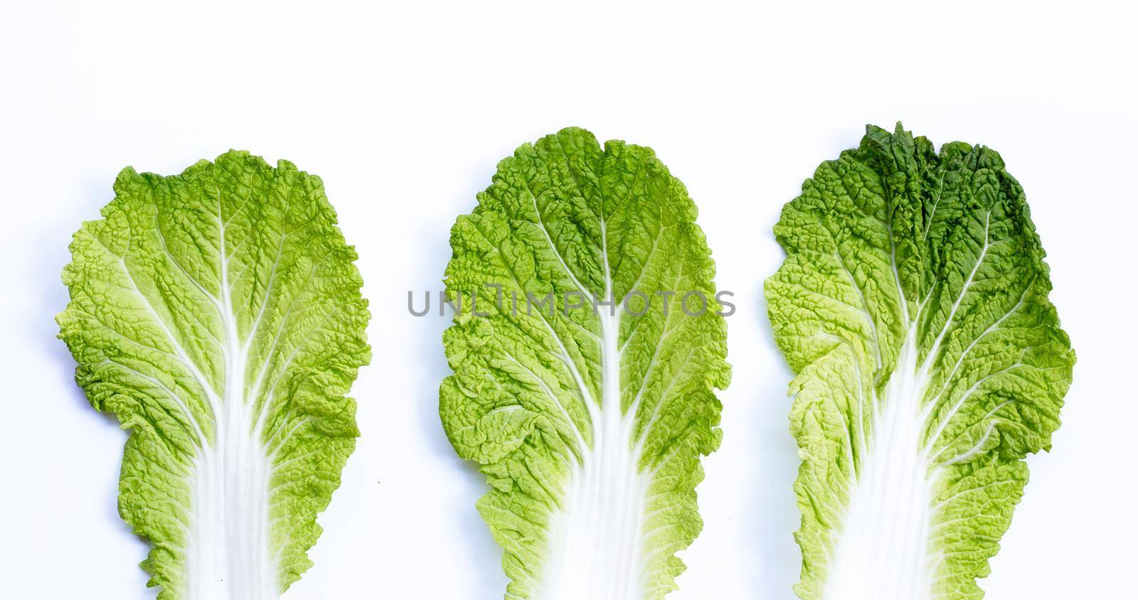 Chinese cabbage on white background. Copy space