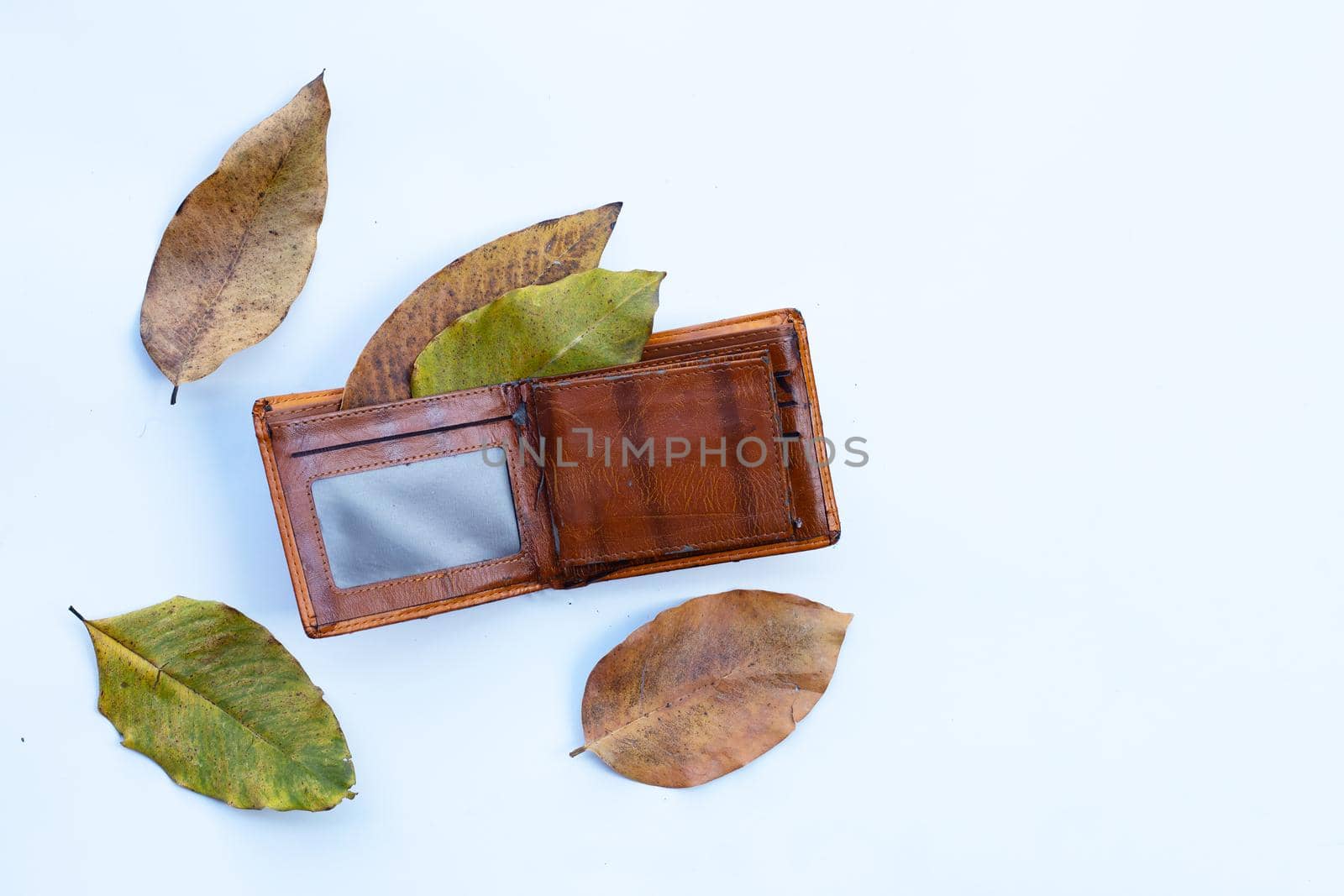 Wallet with dry leaves on white background. Poor or no money concept.