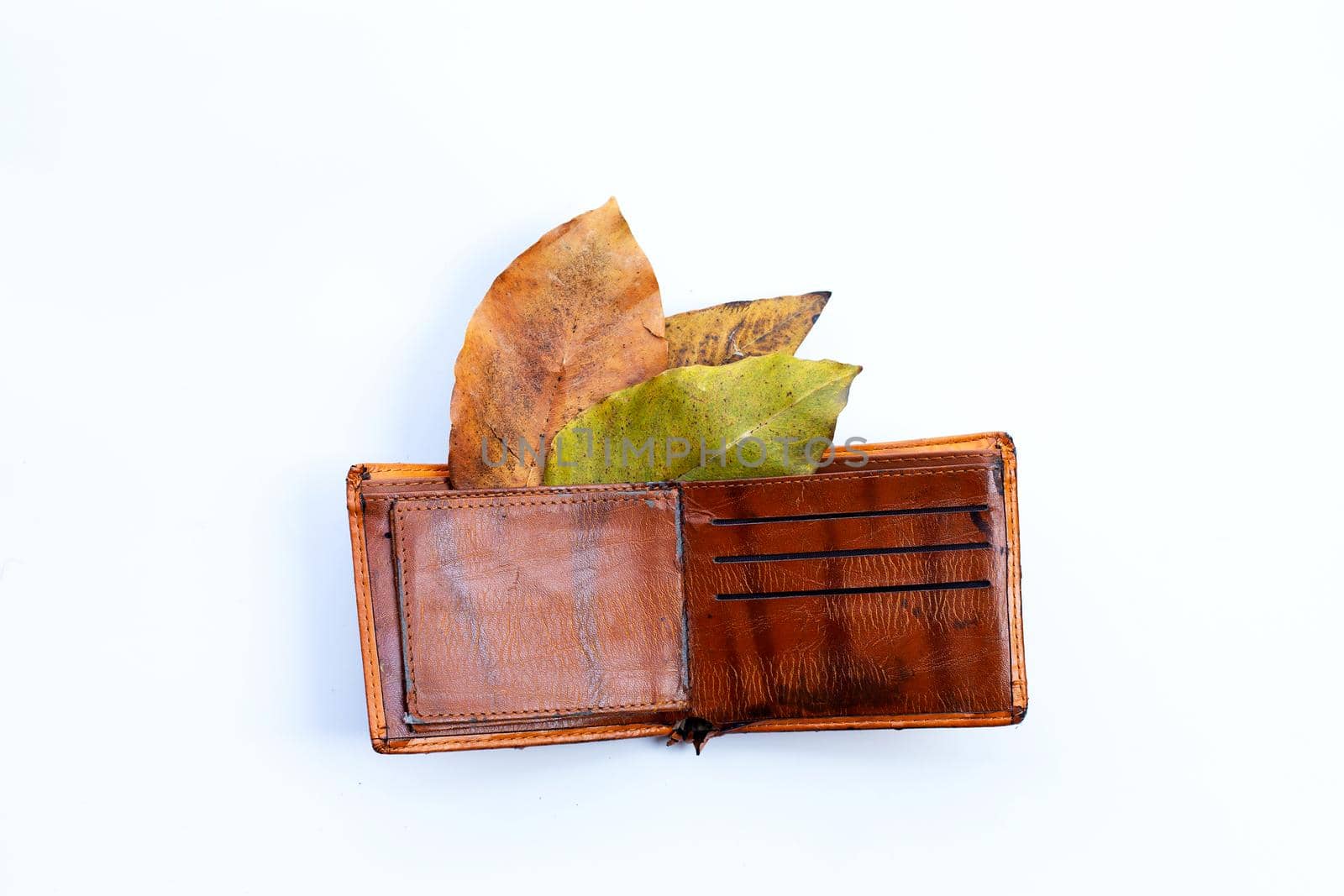 Wallet with dry leaves on white background. Poor or no money concept.