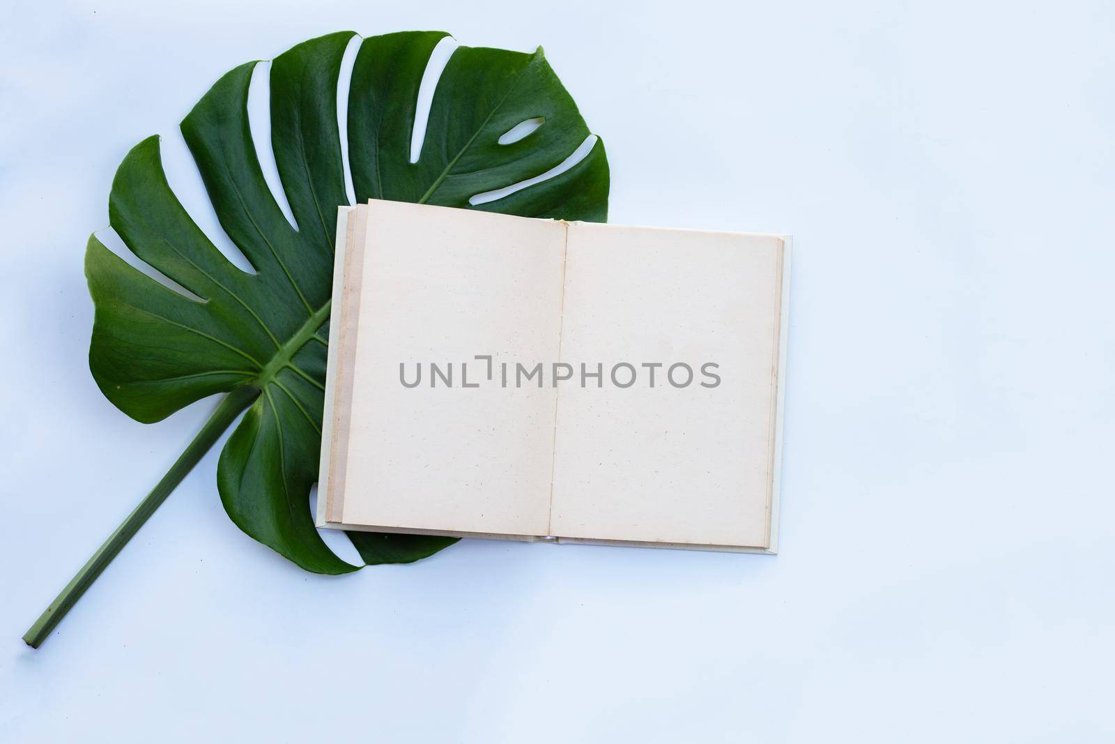 Notebook with green leaves on white background. by Bowonpat