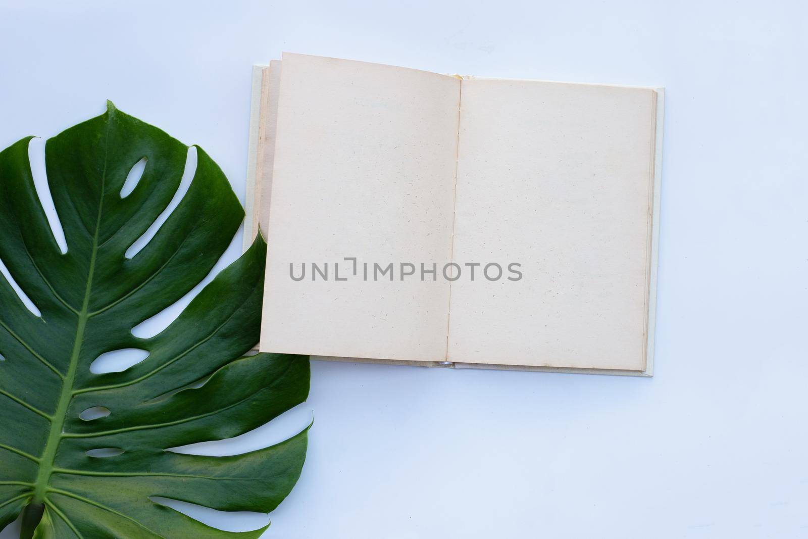 Notebook with green leaves on white background.