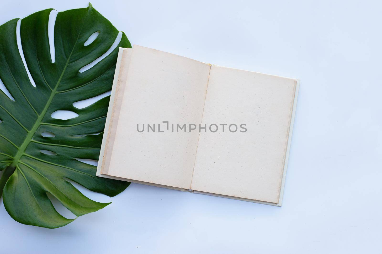 Notebook with green leaves on white background.