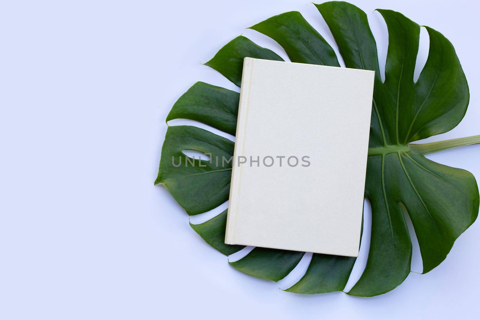 Notebook with green leaves on white background.