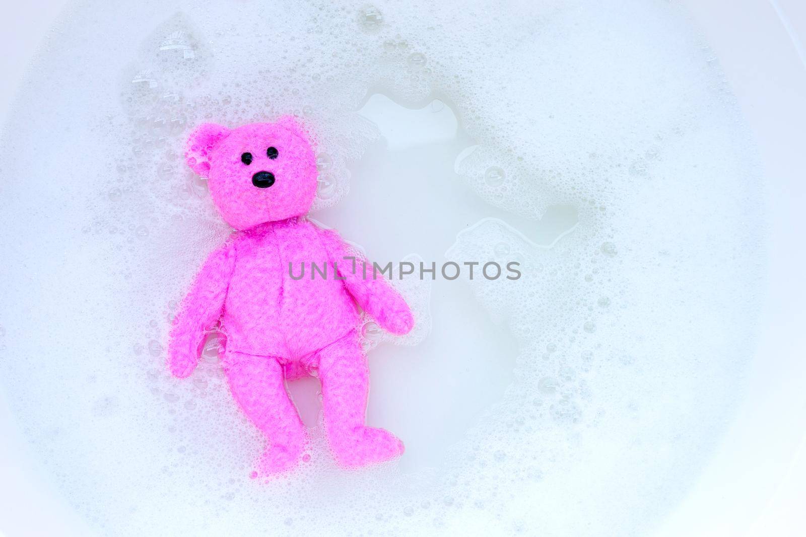 Soak toy bear in laundry detergent water dissolution before washing.  Laundry concept, Top view