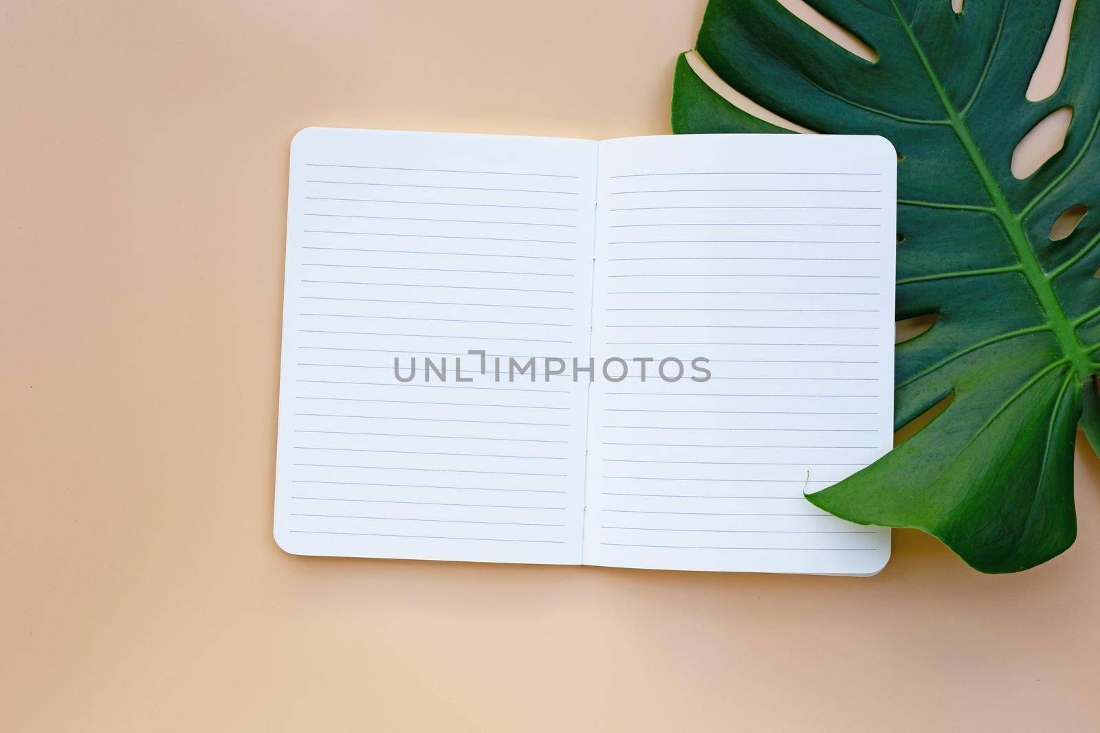 Notebook with green leaves on pastel background.