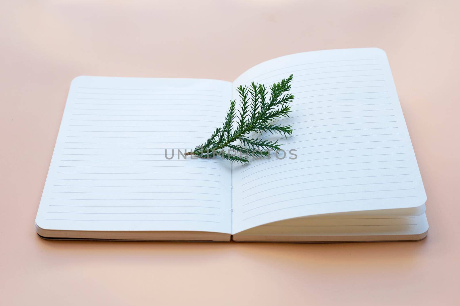 Notebook with green leaves on pastel background.