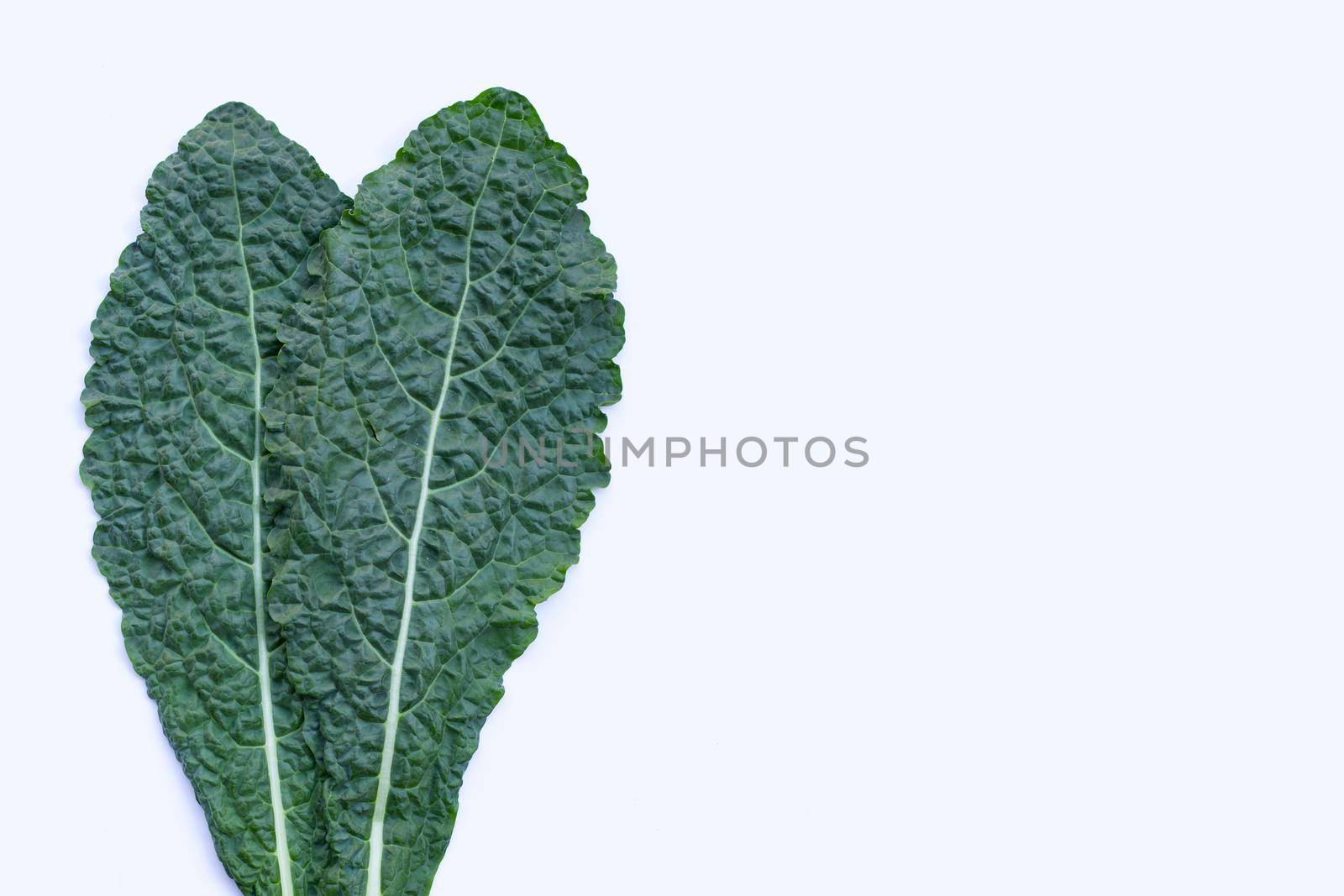 Fresh organic green kale leaves on white background.