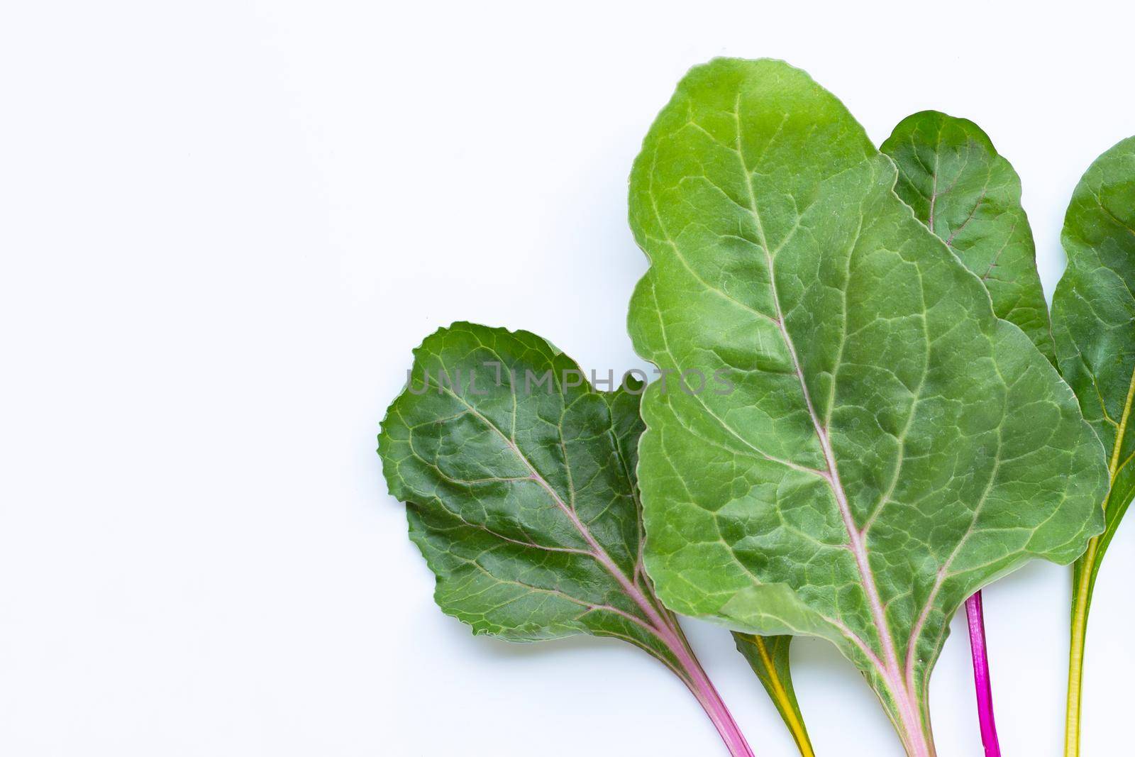 Fresh swiss chard on a white  by Bowonpat