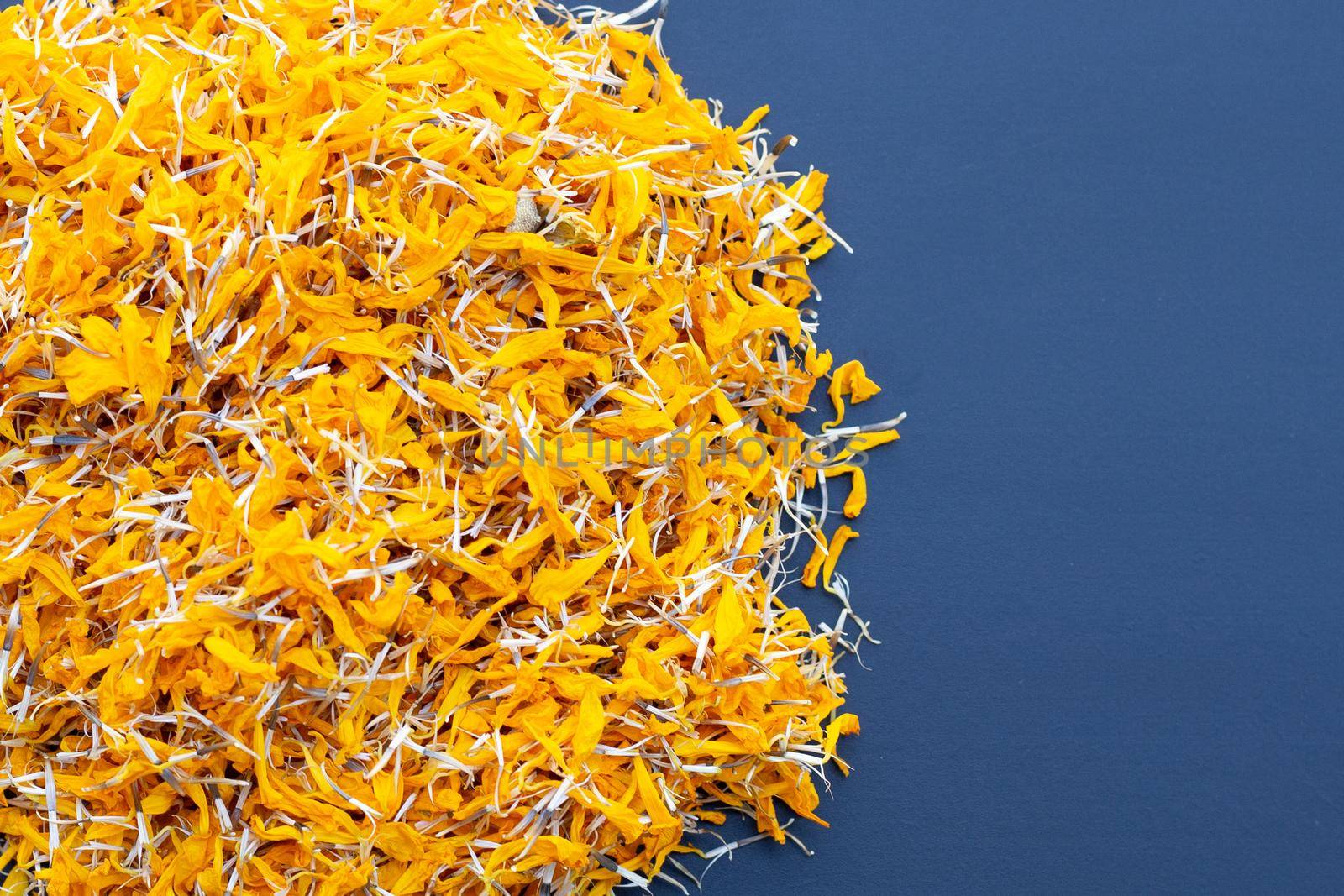 Petals of marigold flower on dark background.