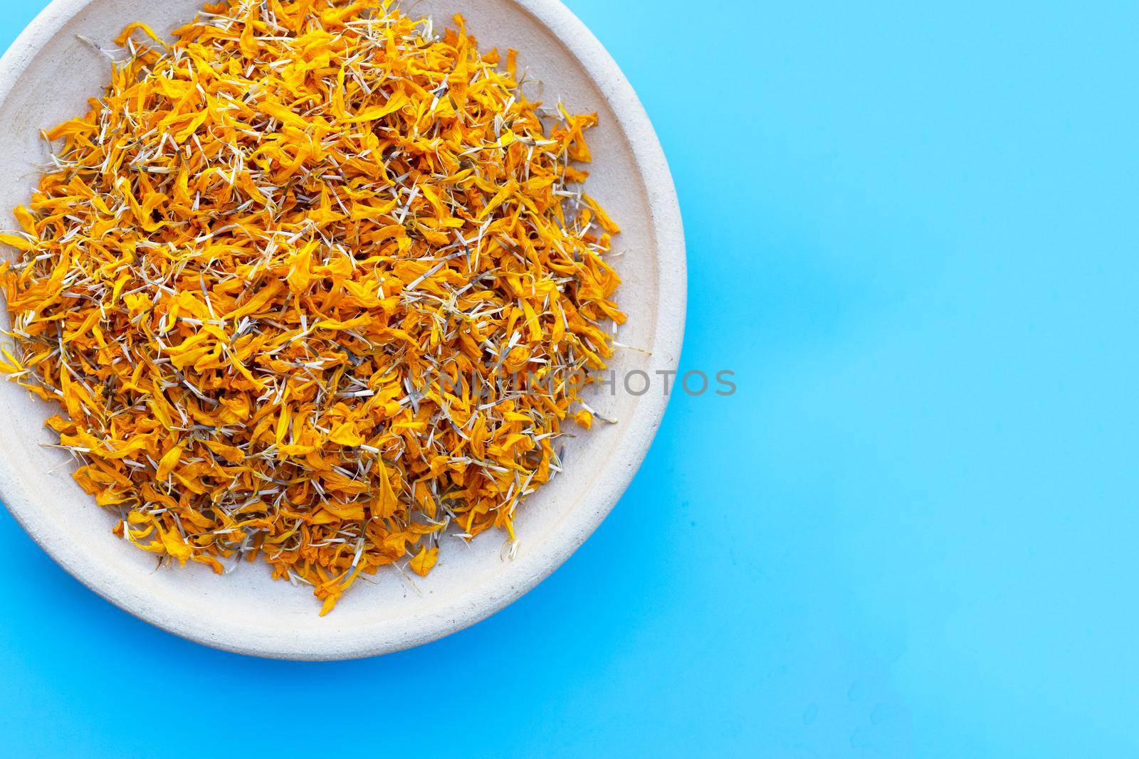 Petals of marigold flower on blue background.